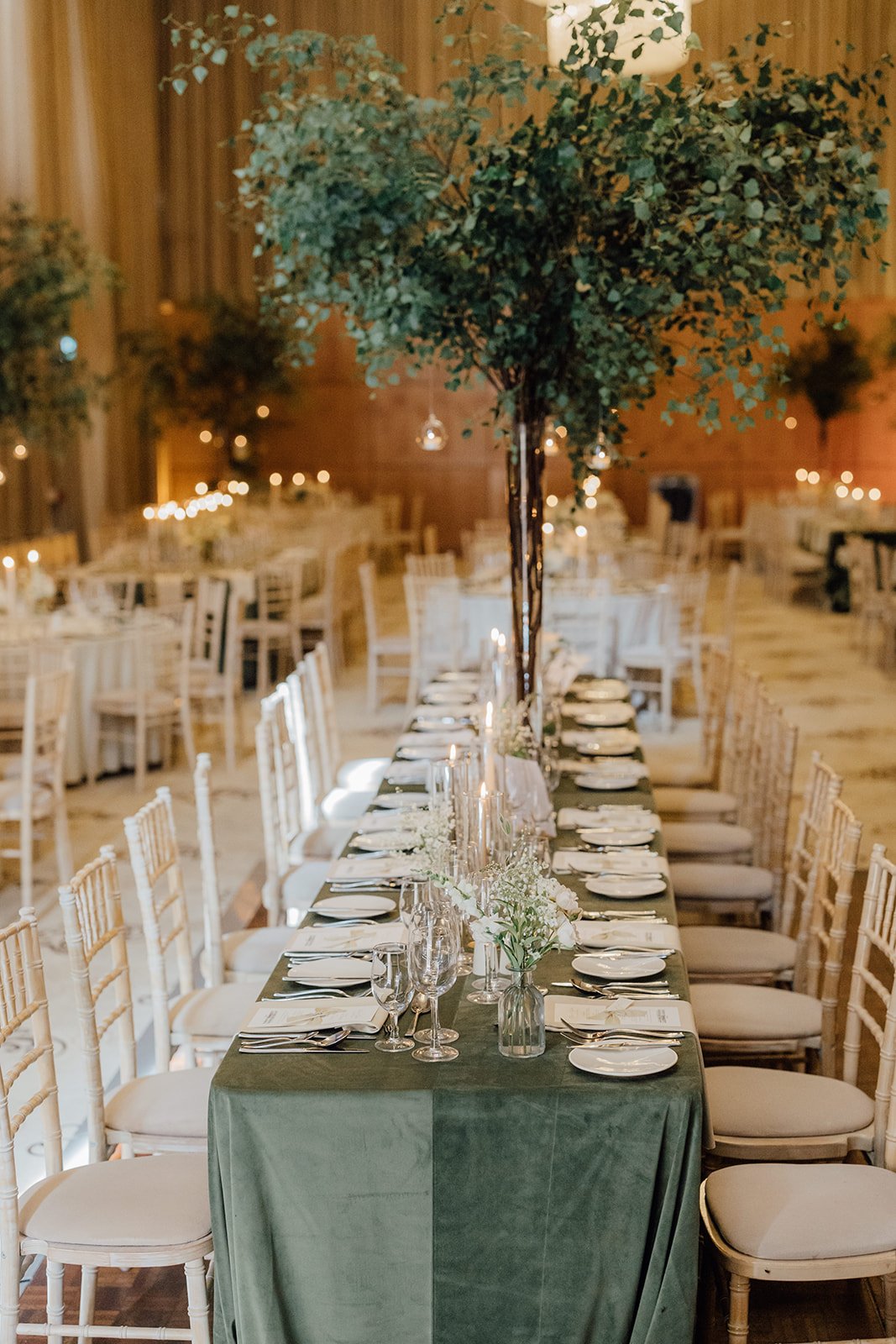 Long banquet table with a tree centrepiece and candles at Castlemartyr Resort wedding