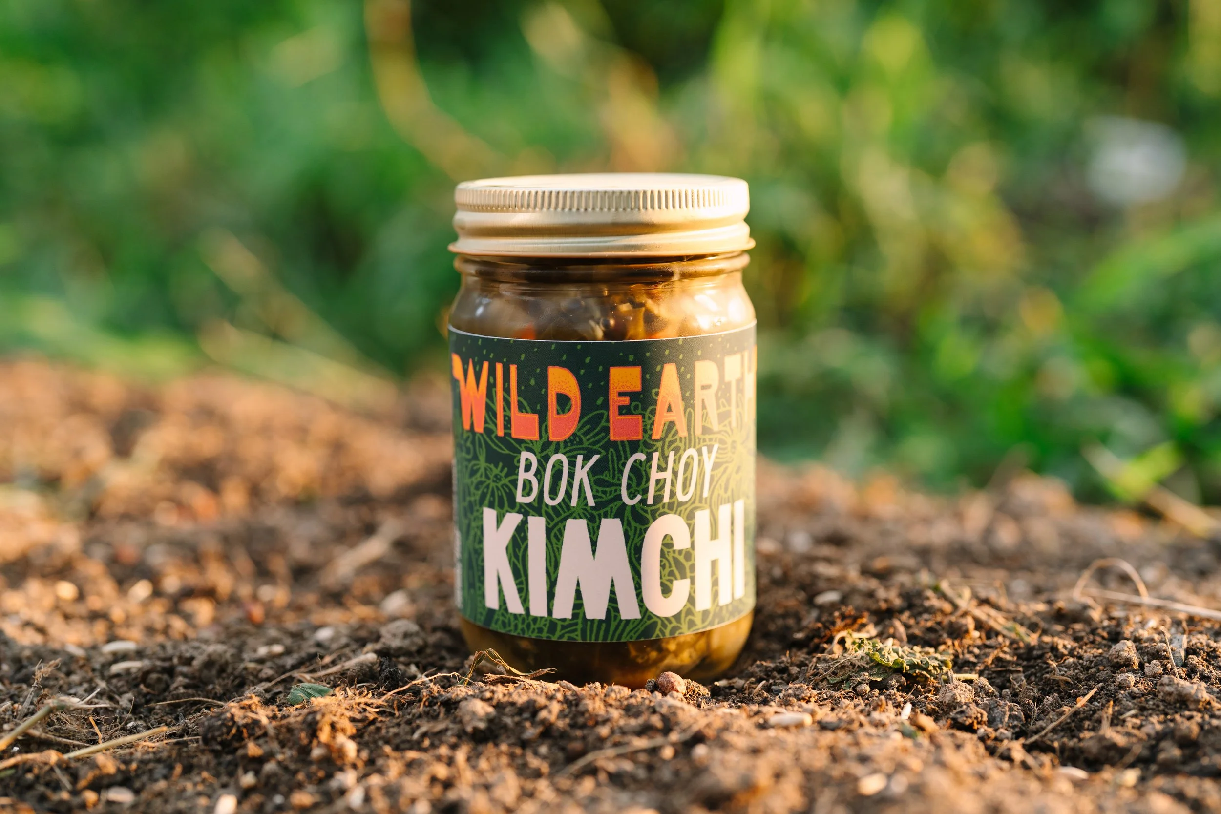 Wild-Earth-SJP-202450.jpg