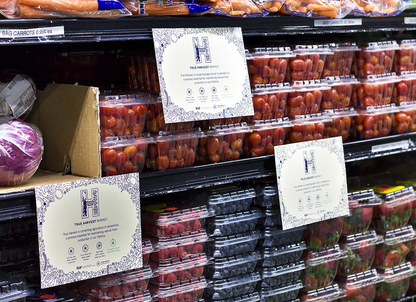 True Harvest Market sign designs for stores that sell aeroponically produced goods