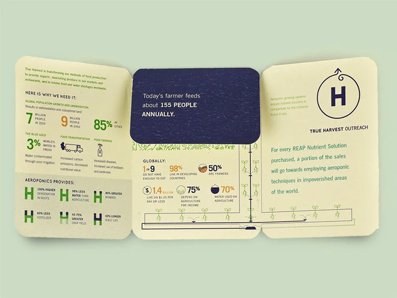 Brochure design for green food company