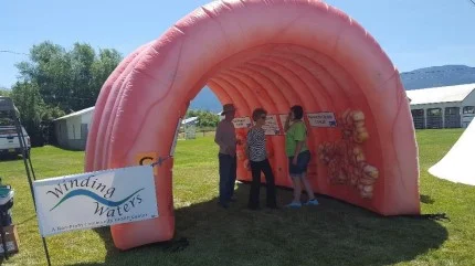 Nolan the Colon is an outreach tool Winding Waters Clinic uses to raise community awareness about the importance of colorectal cancer screening.