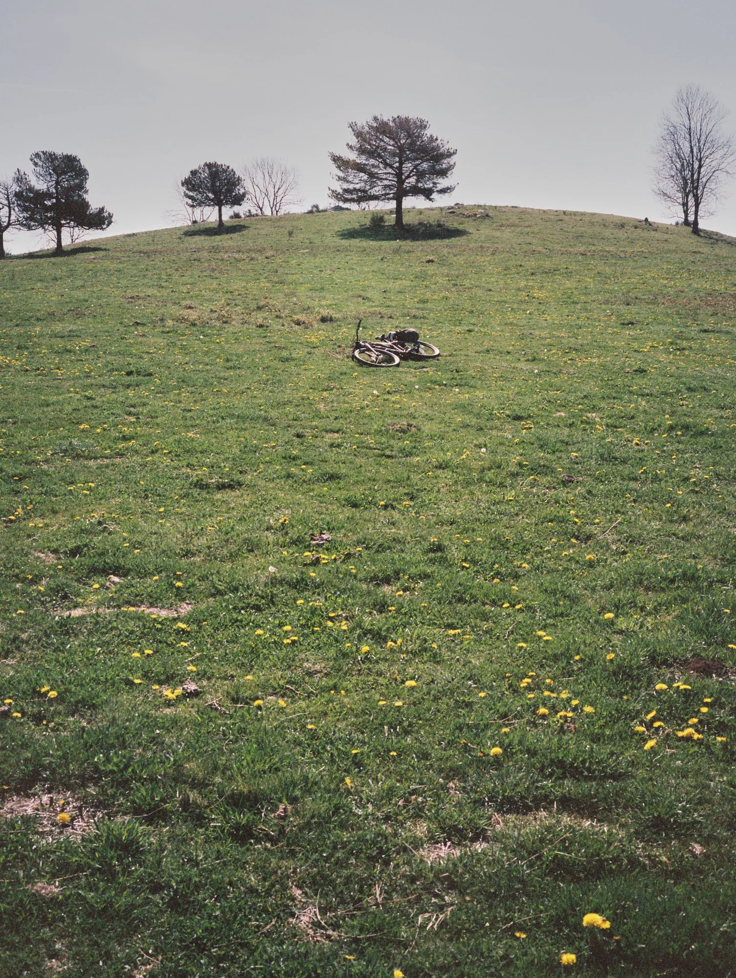 260516_Kohlman_Scans_0800.jpg