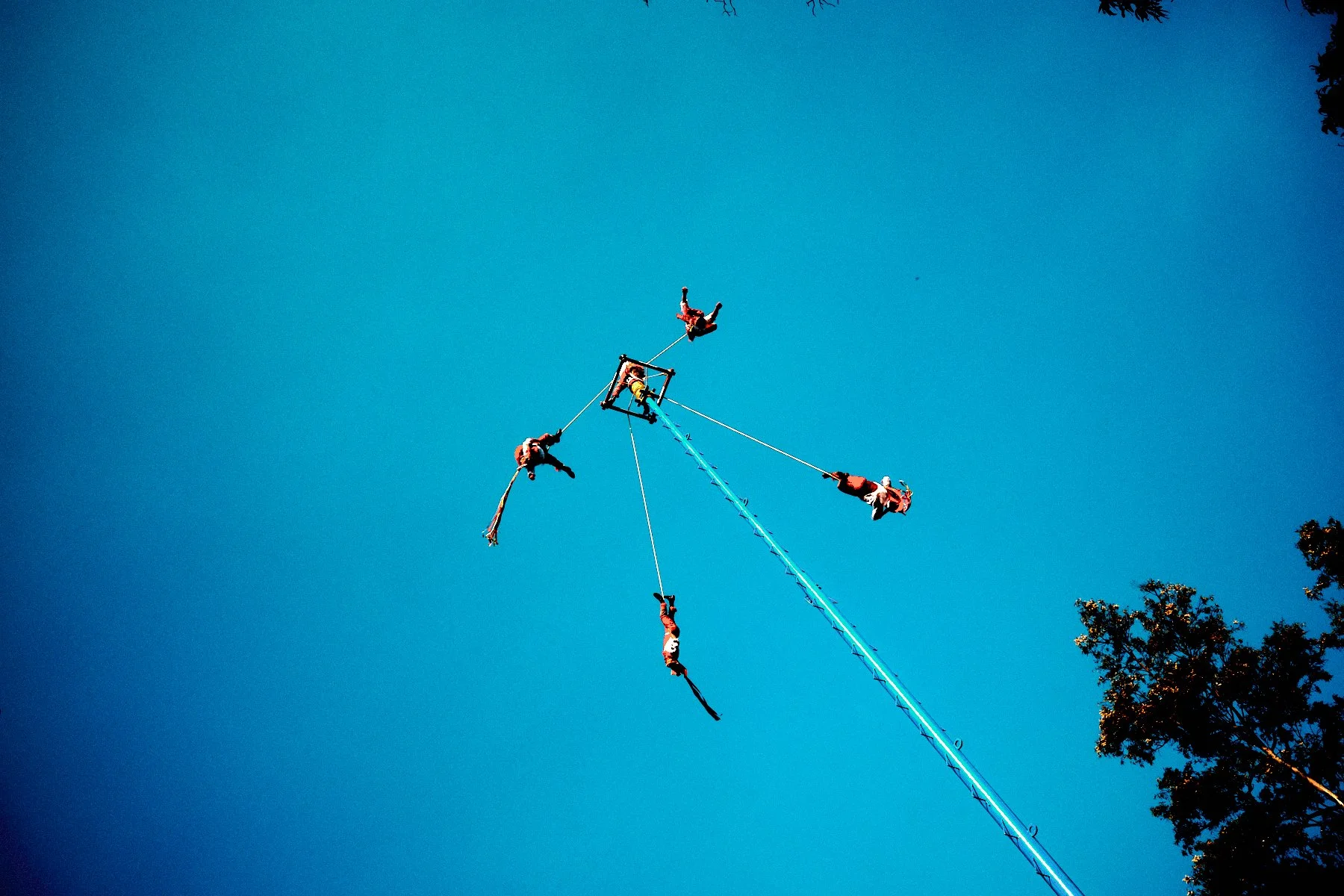 2512_Kohlman_X100_0131.jpg