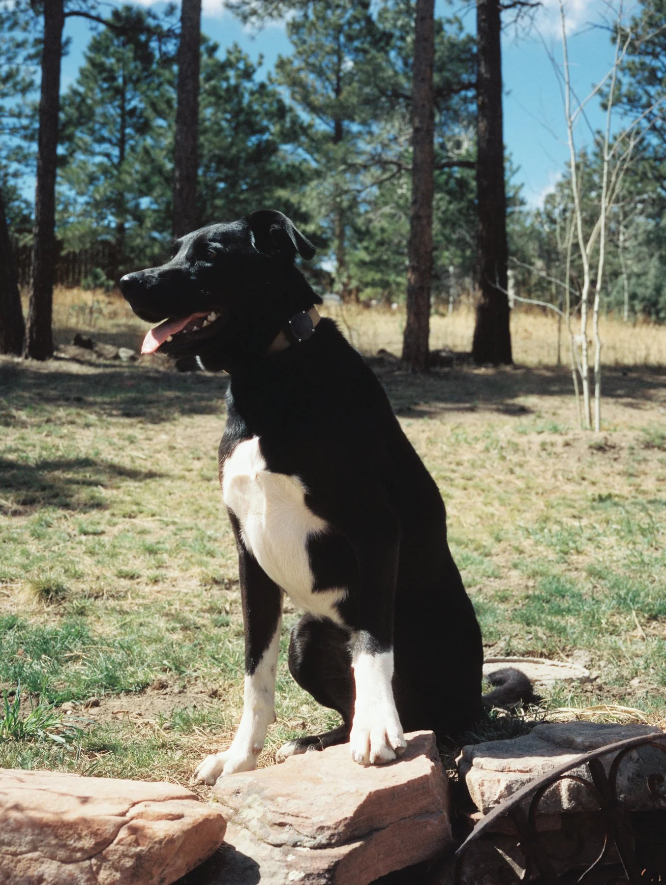 260516_Kohlman_Scans_0737.jpg