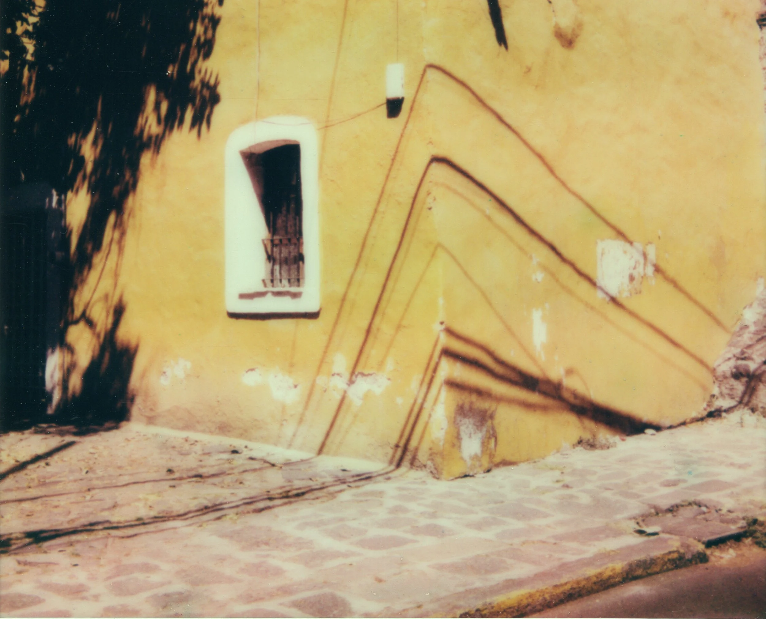 260301_Altra_Torin 9_Polaroid_0012.jpg