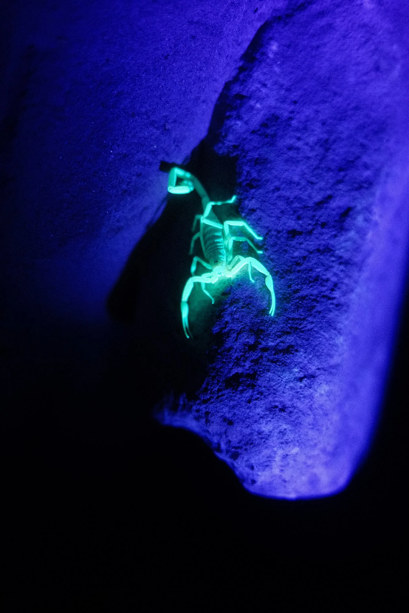 250815_Satisfy BTS_Kohlman_0364.jpg