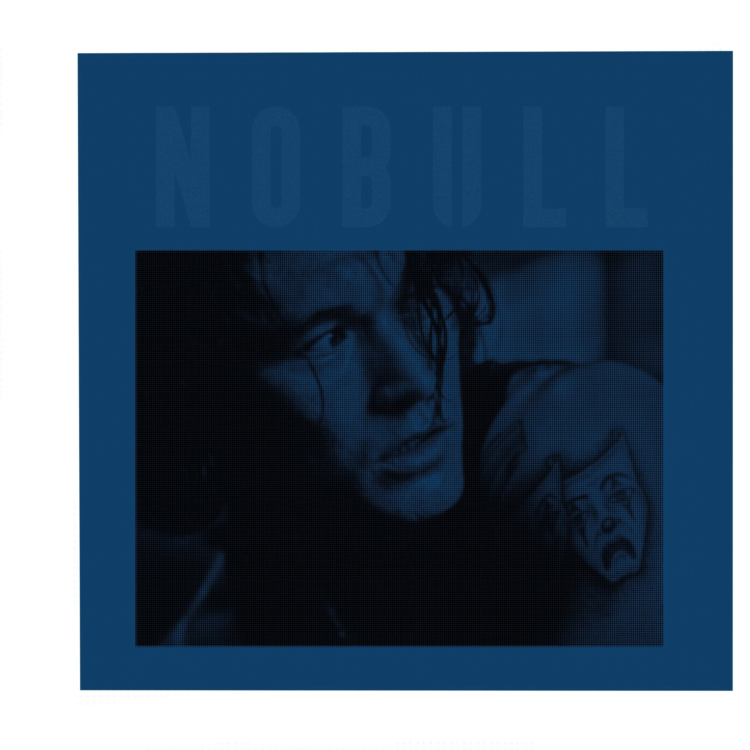 NoBull Cover.jpg