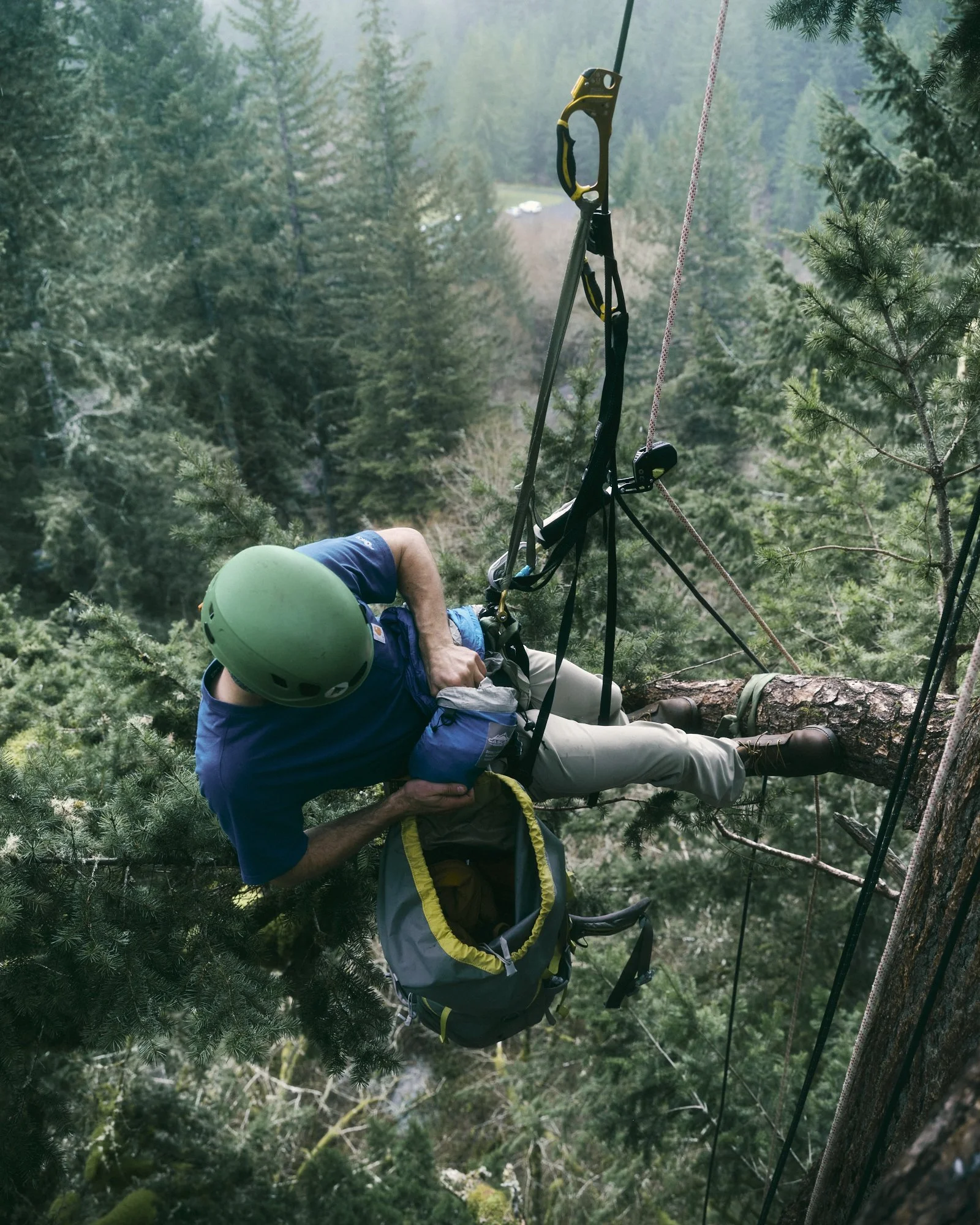 25CAR23996_F25_ActiveChannel_SilverFallsForest_28558.jpg