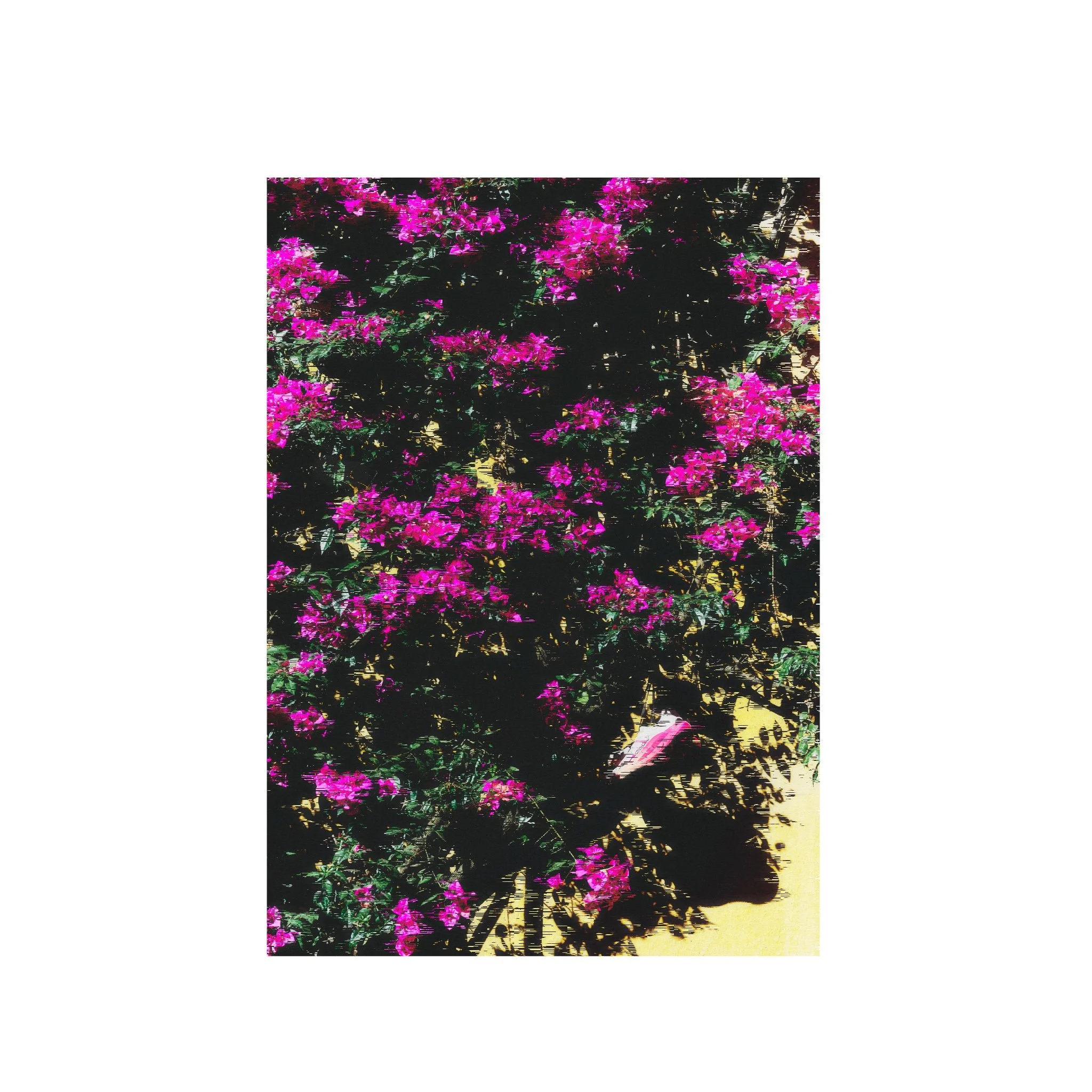Untitled_Artwork 123.jpg