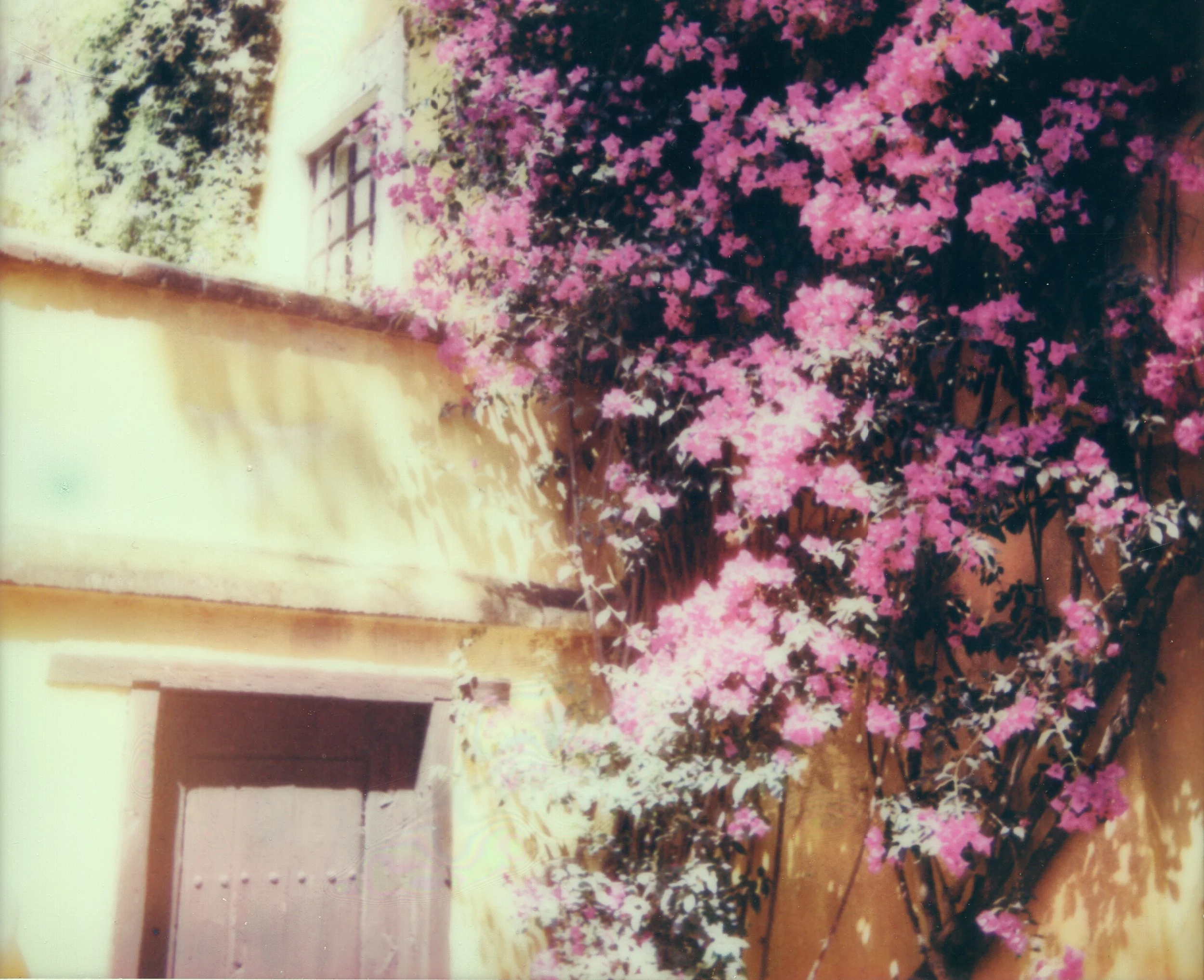 260301_Altra_Torin 9_Polaroid_0006.jpg