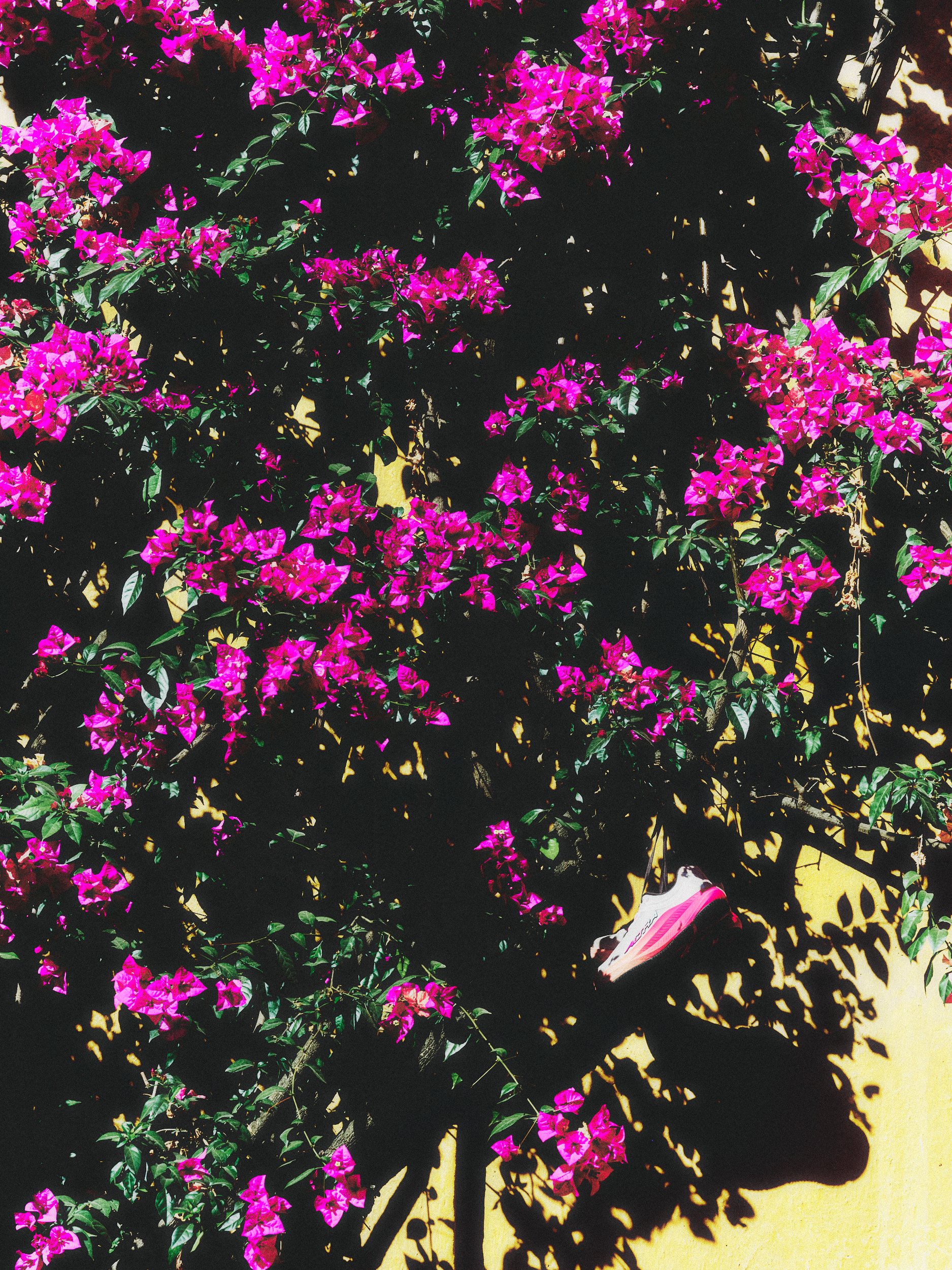 F26_Road_Torin9_W_Coconut_Cream_Pink_AL0A85UH89D_6580.jpg