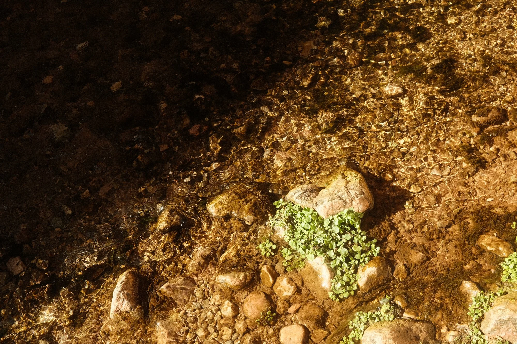 250815_Satisfy BTS_Kohlman_0367.jpg