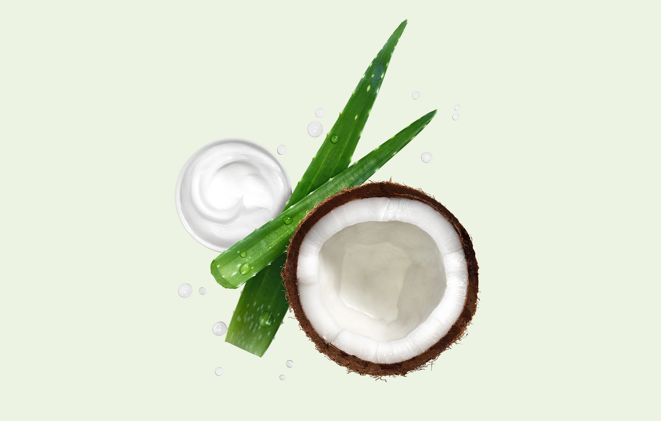 Clairol_Nat_Inst_Carton_v2COCONUT.jpg