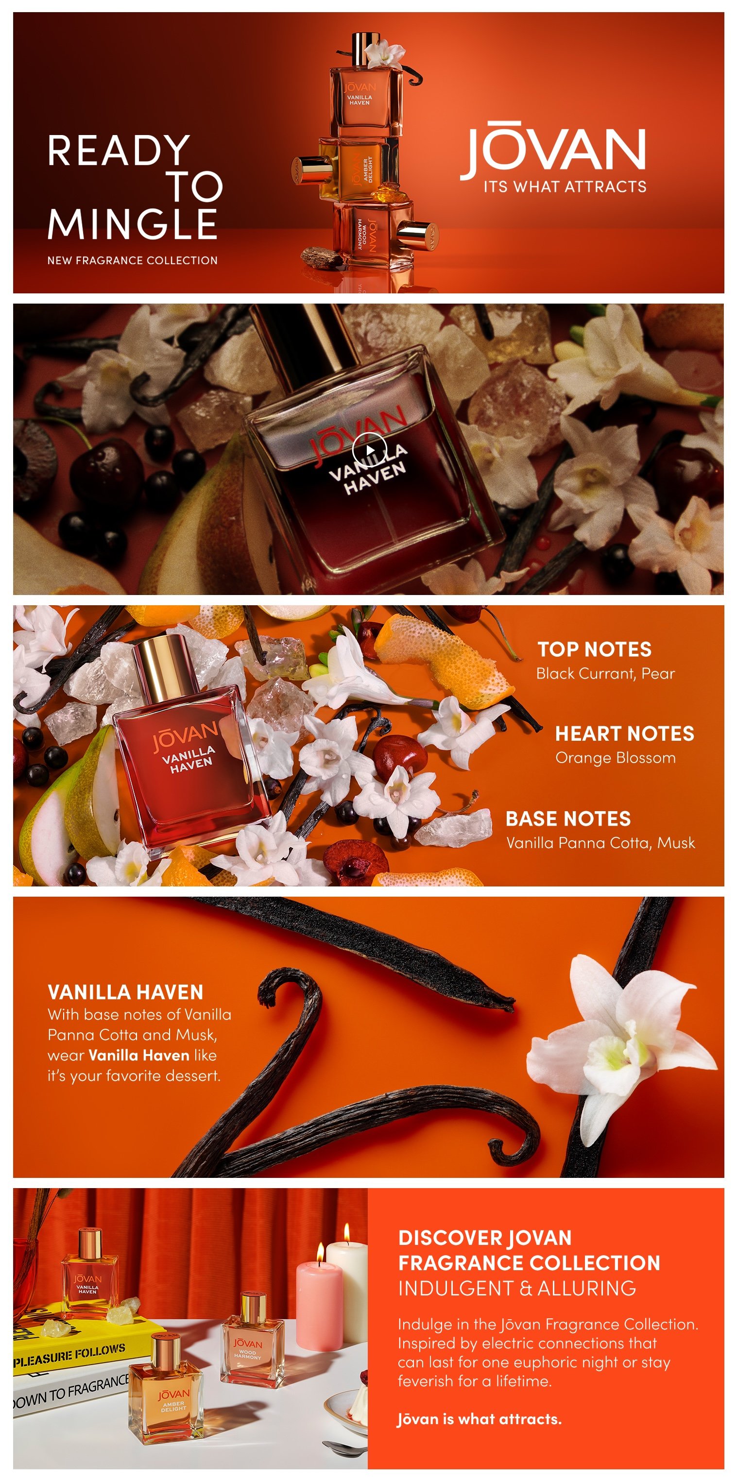 Jovan_Essentials_25_Vanilla_Haven_APlusPremium.jpg