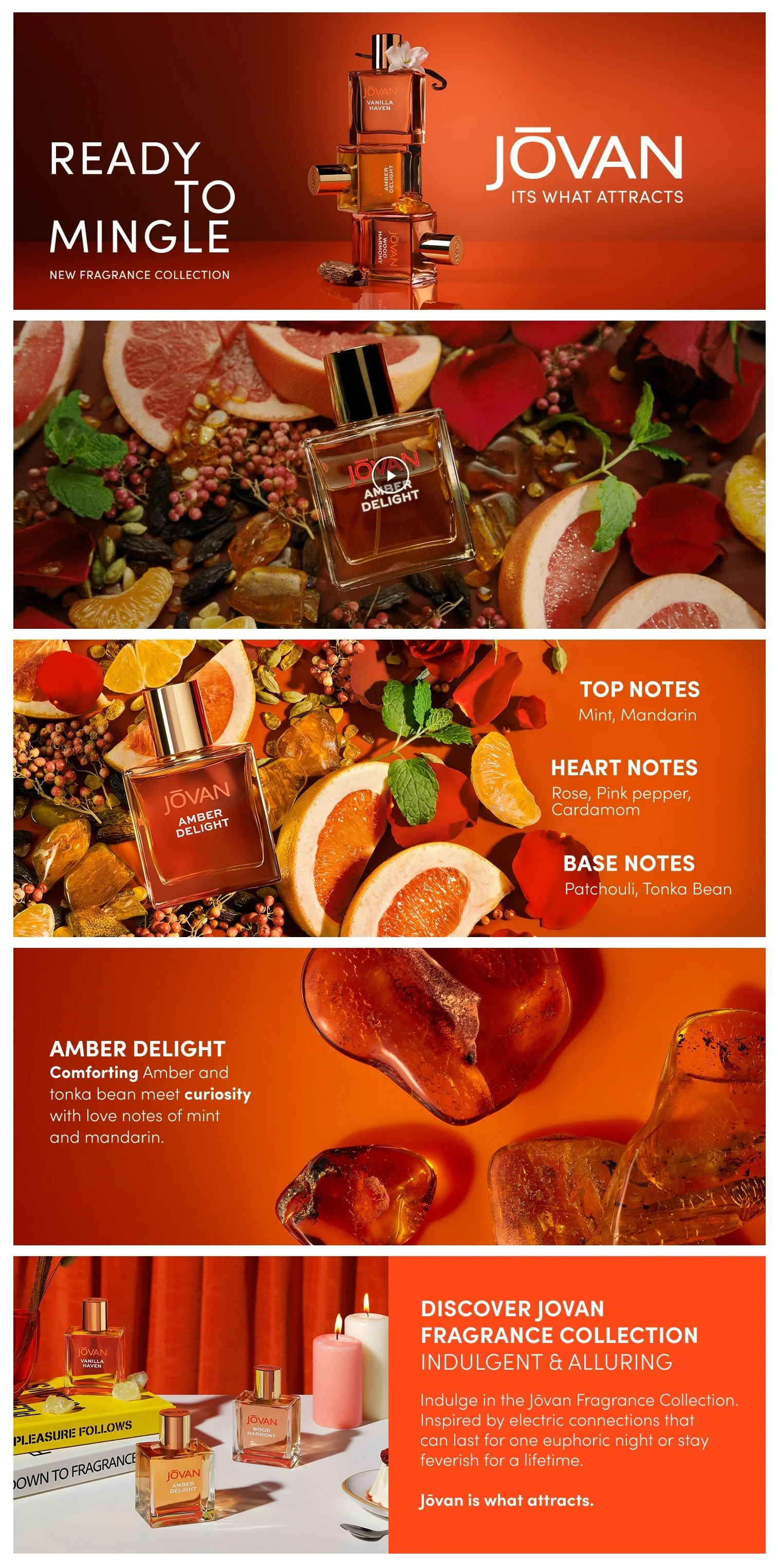 Jovan_Essentials_25_Amber_Delight_APlusPremium.jpg