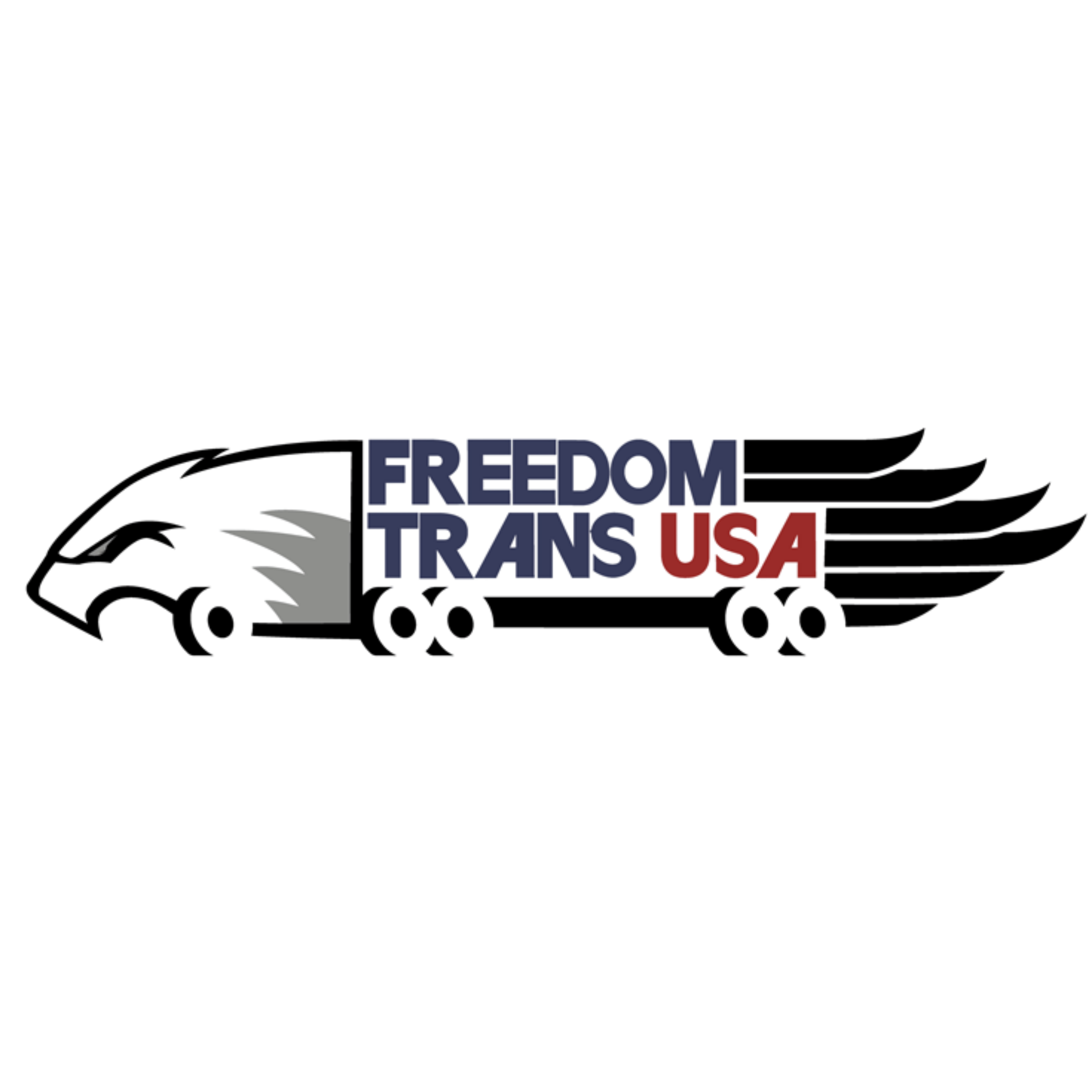 https://www.freedomtransusa.com/