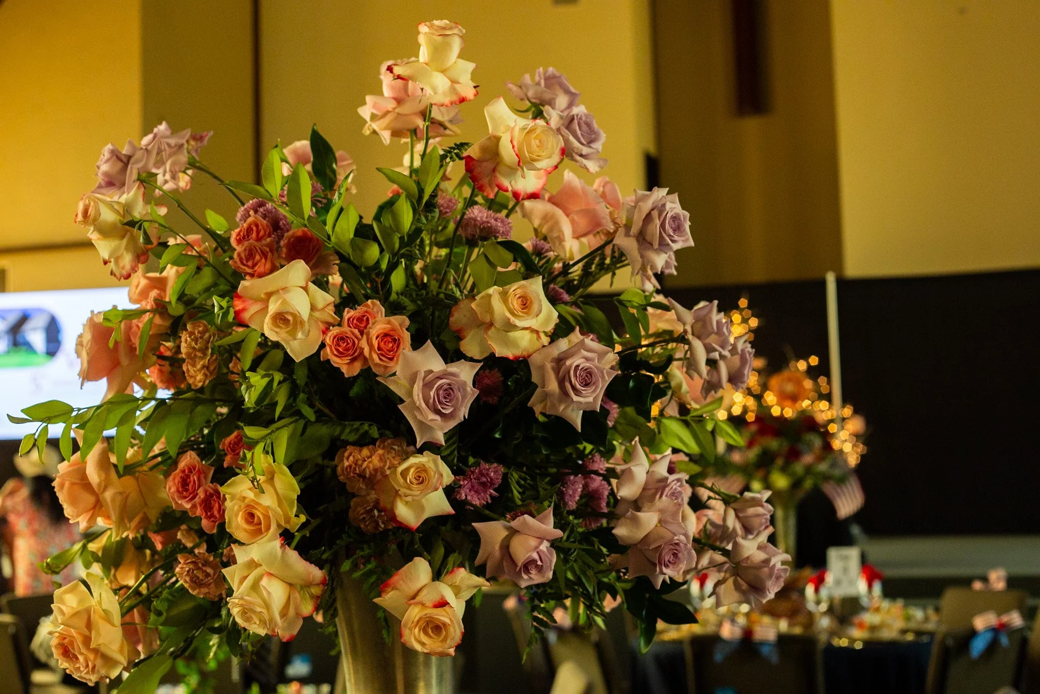 IMG_8864.jpg