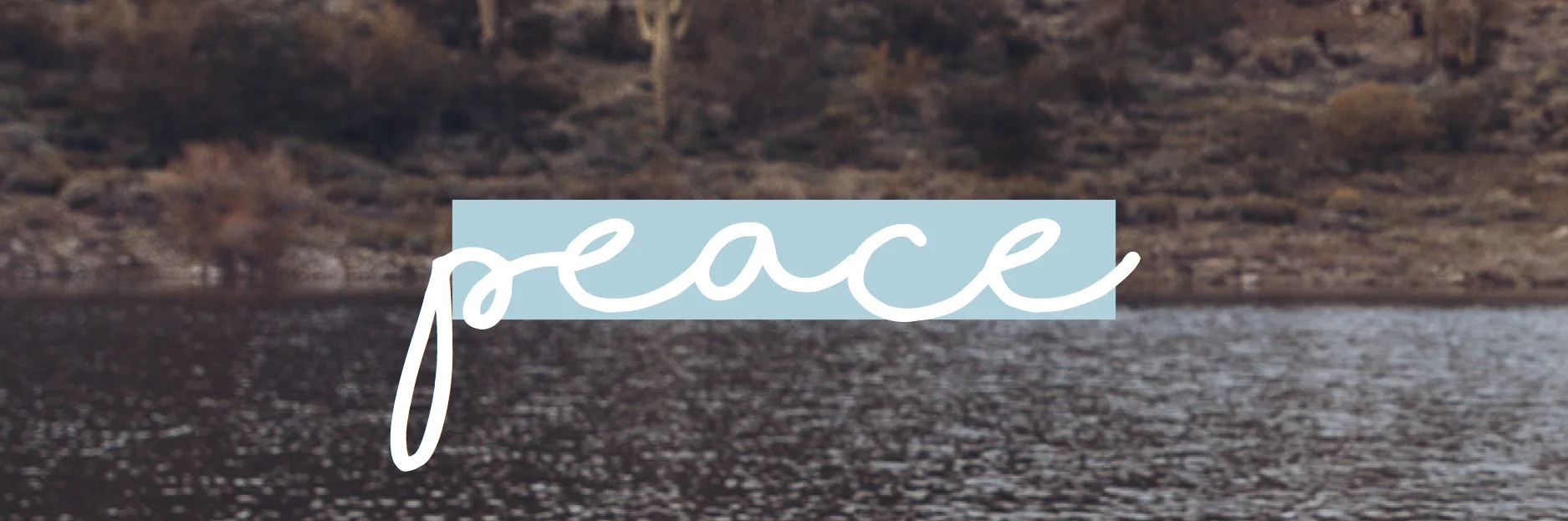 Peace-Header.jpg