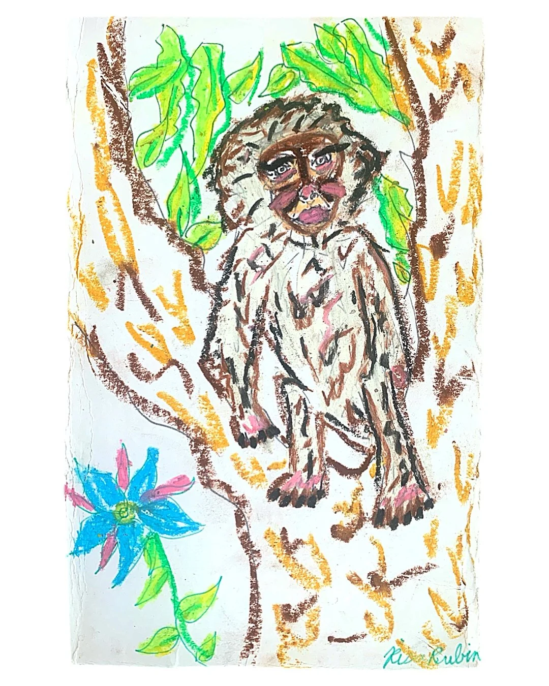 monkey.JPG