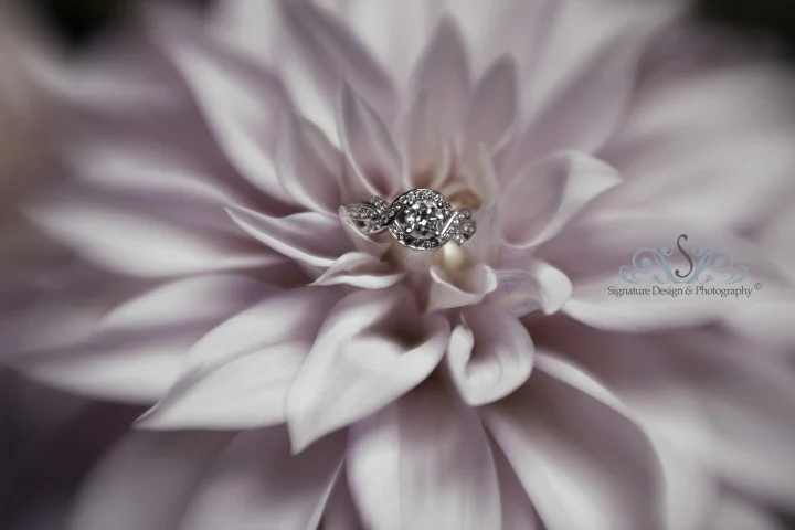 signature-design-photography_tj_39.jpg