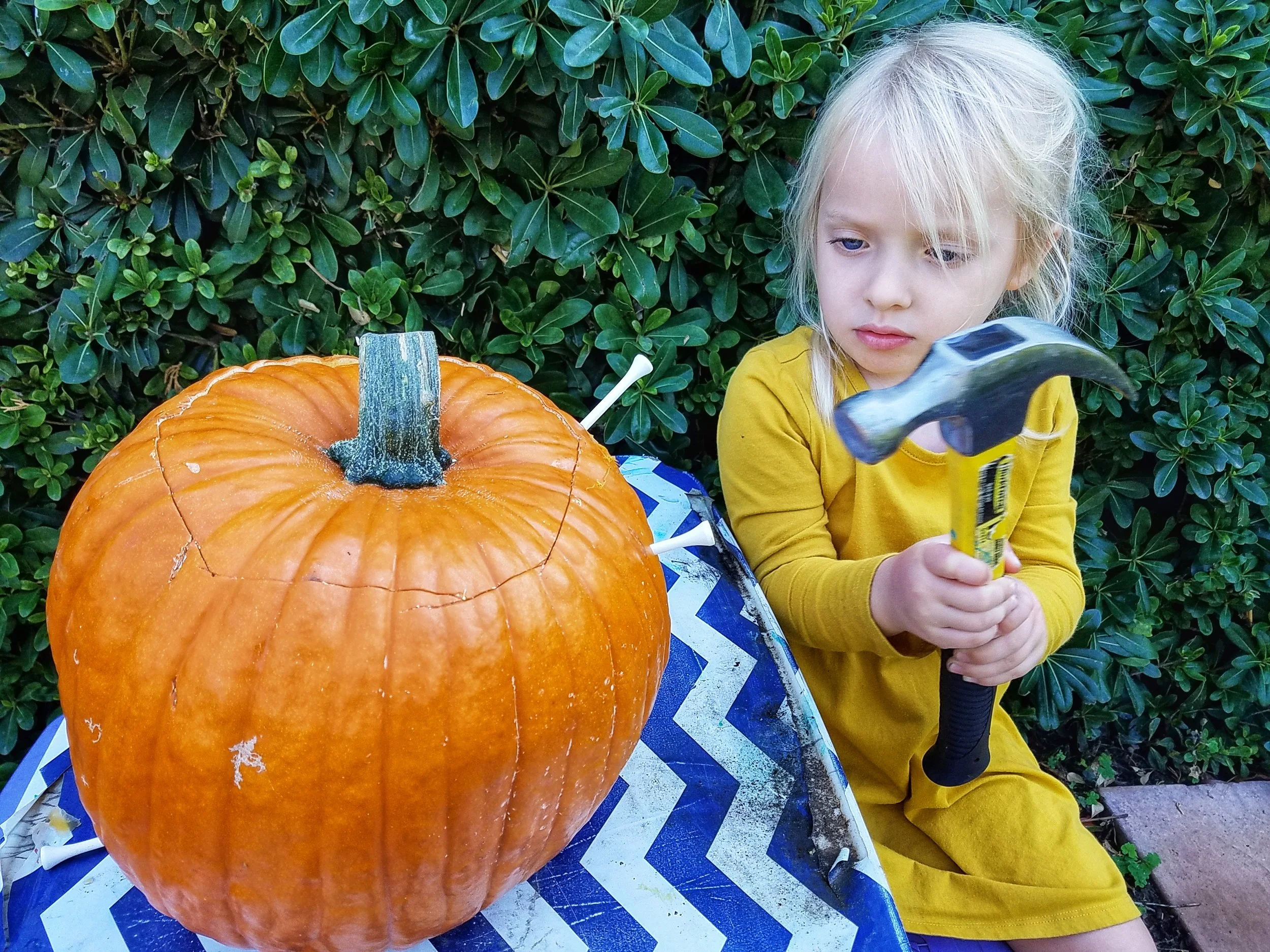 Preschool Fall Activity