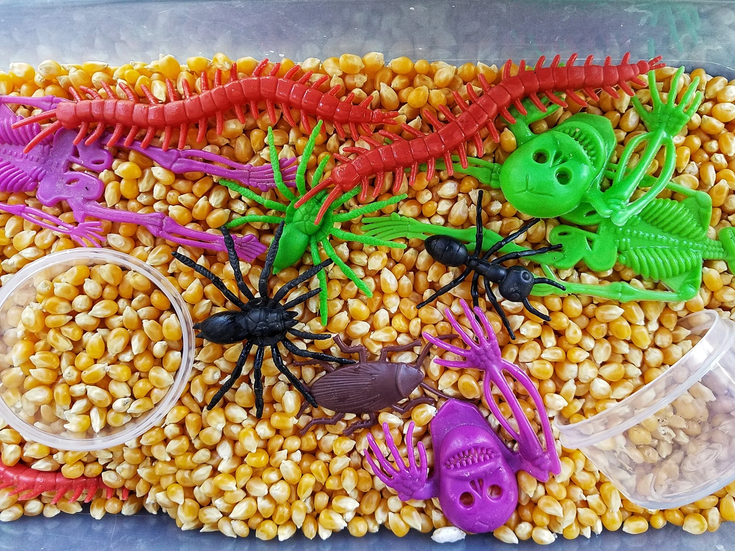 Sensory Bin Ideas: Fall &amp; Halloween
