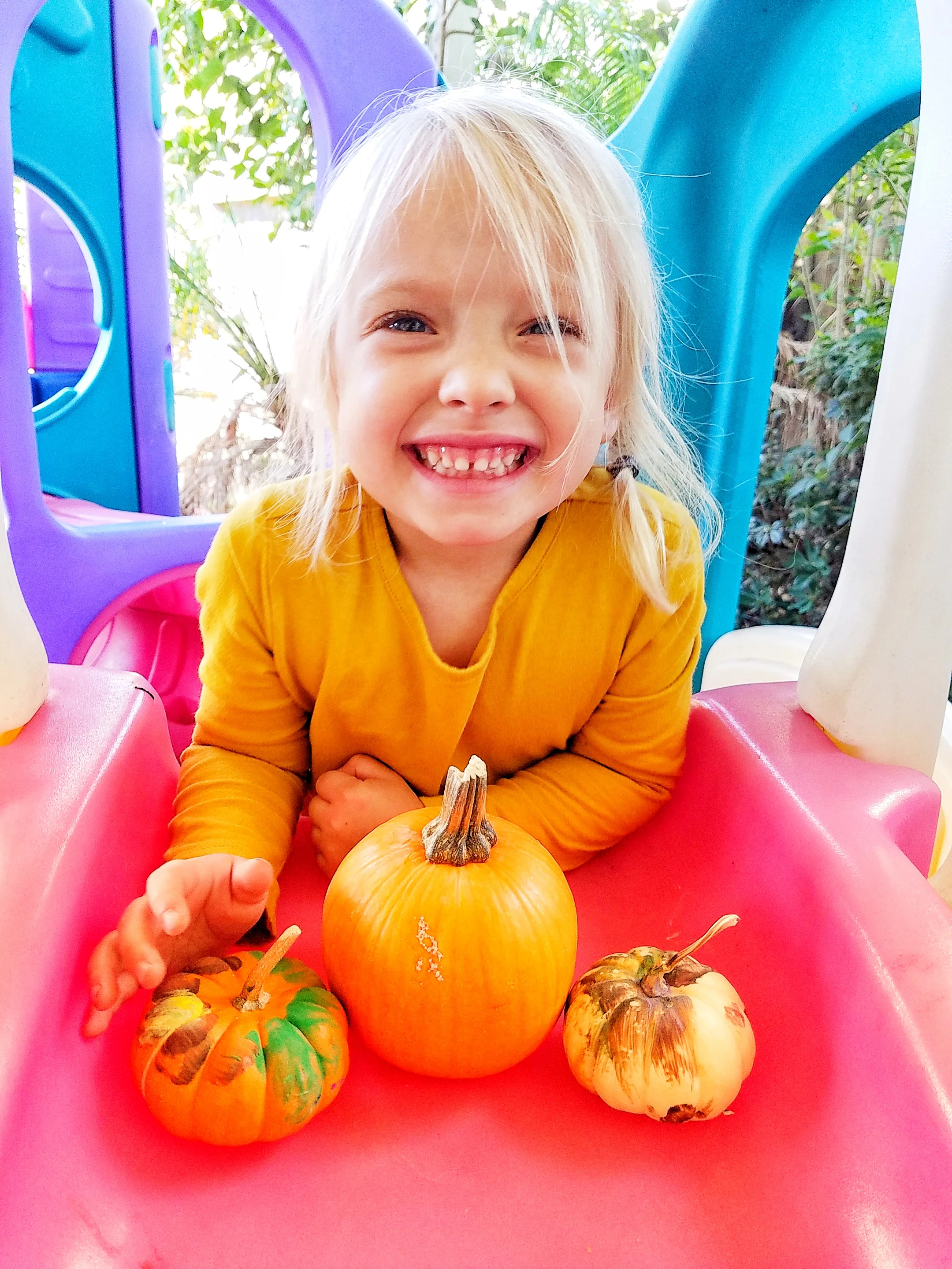 STEM Pumpkin Activity (Super Simple!)