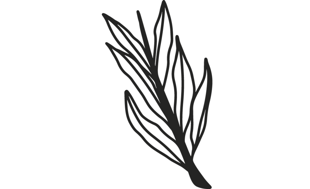 plant2.png