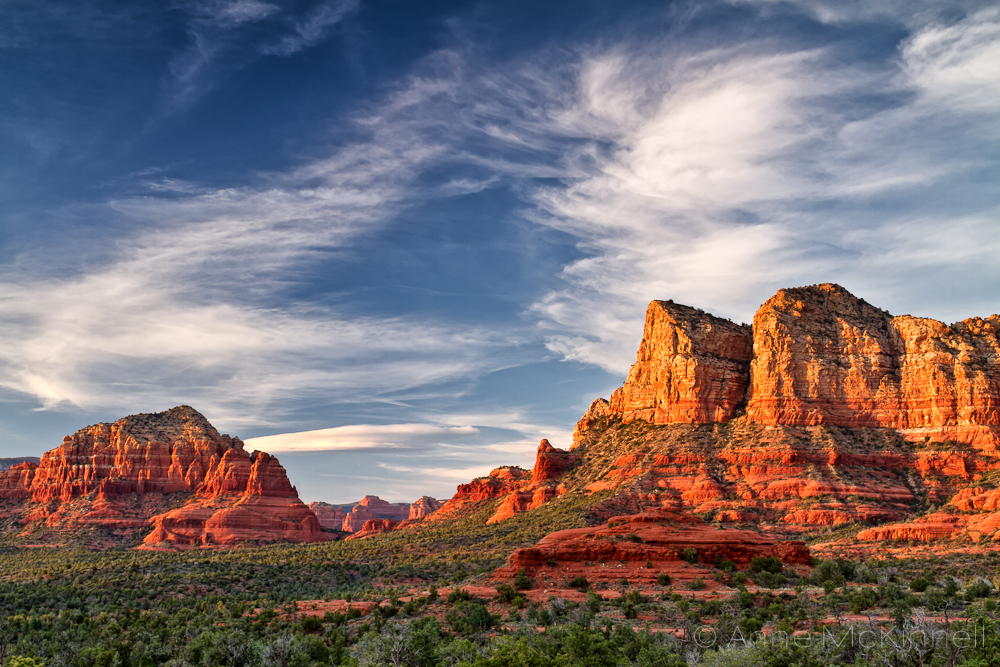 arizona_.jpg