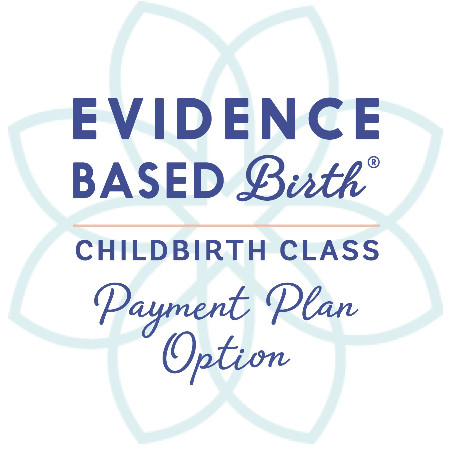 Payment Plan option.png