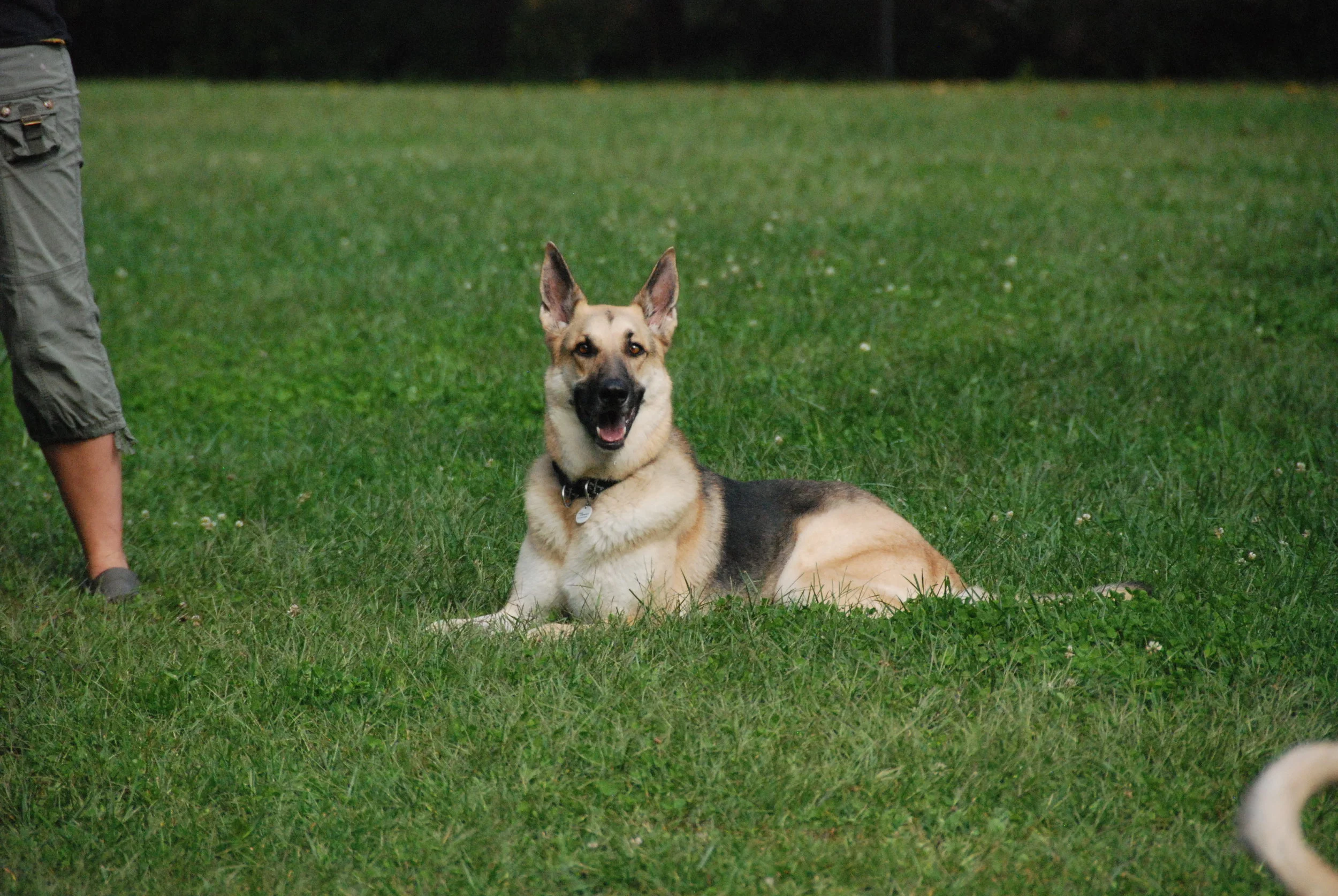 DSC_1662.JPG