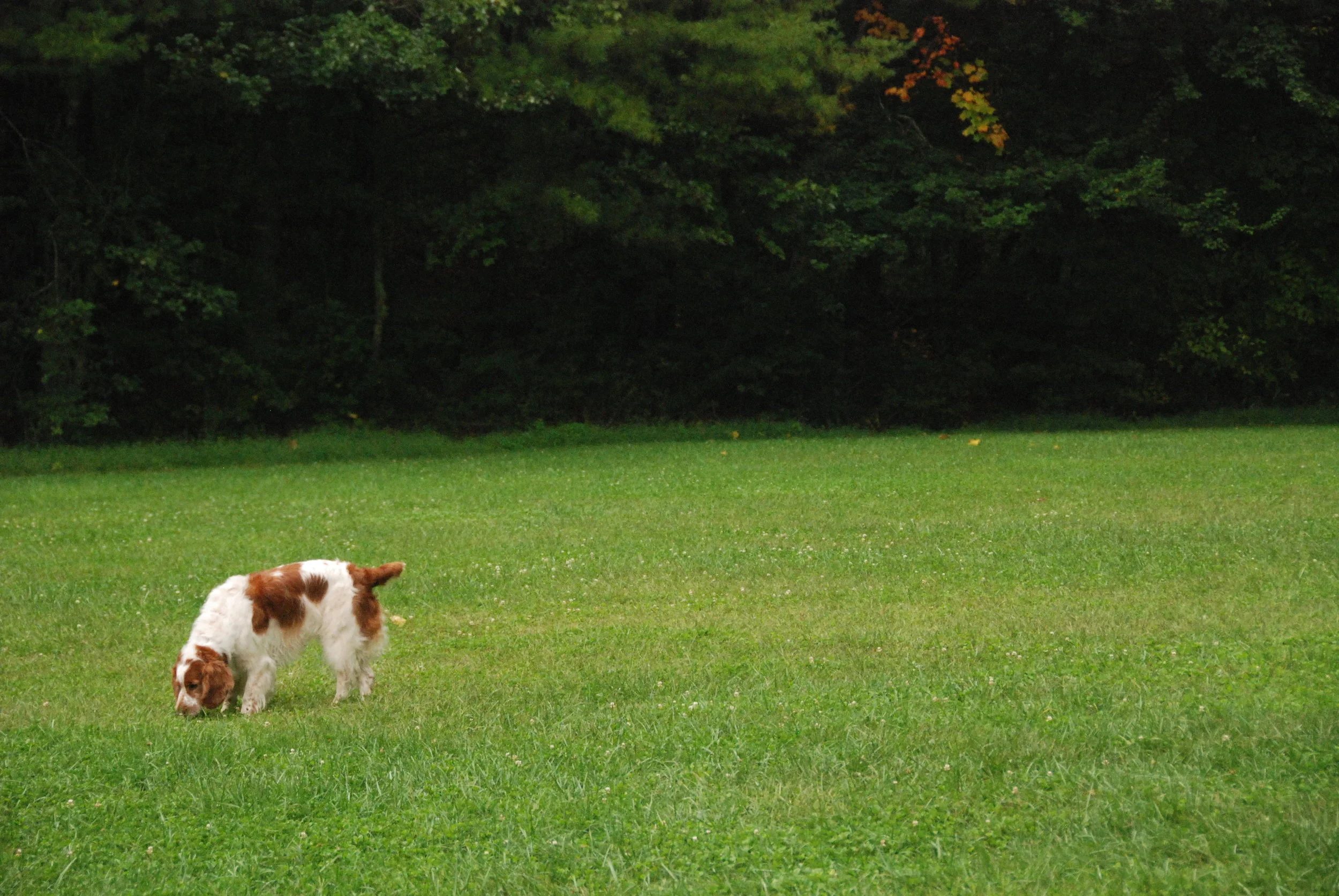 DSC_1418.JPG