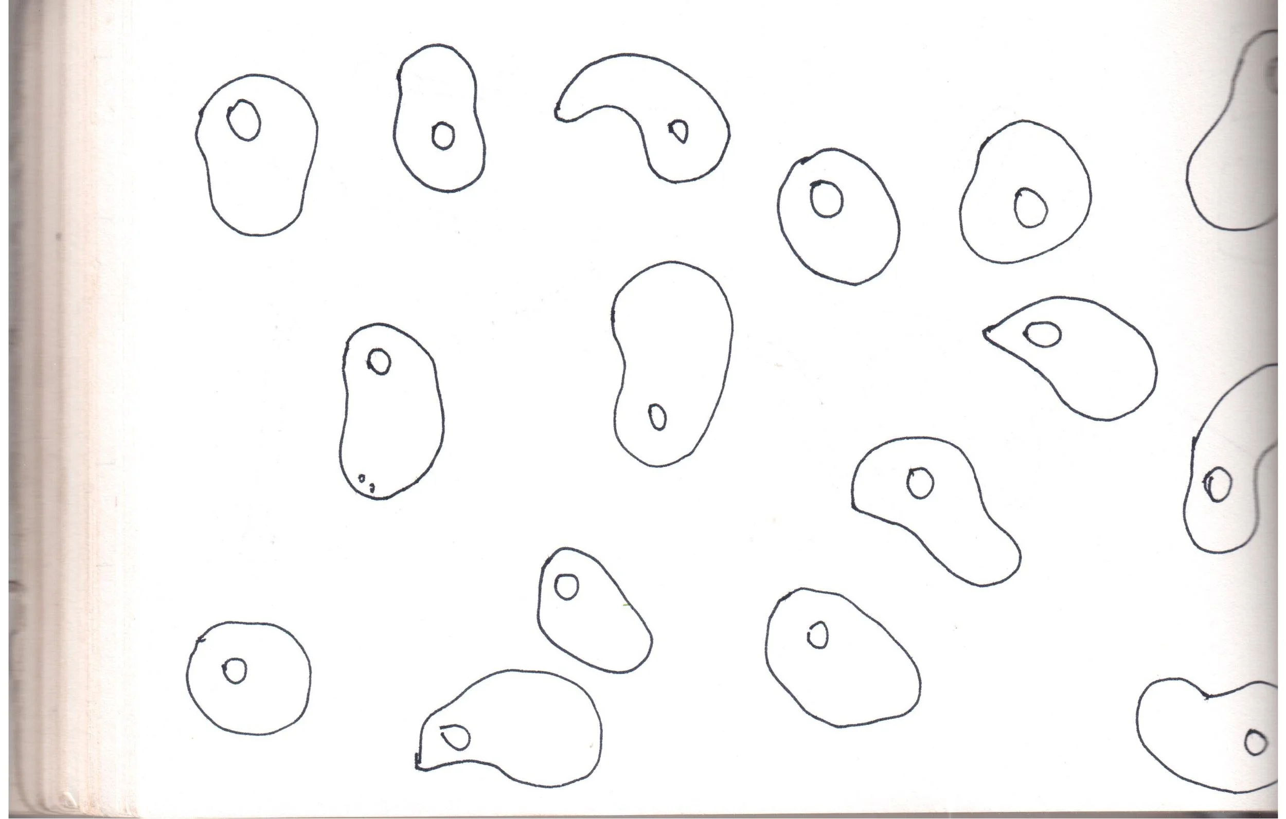 eggy