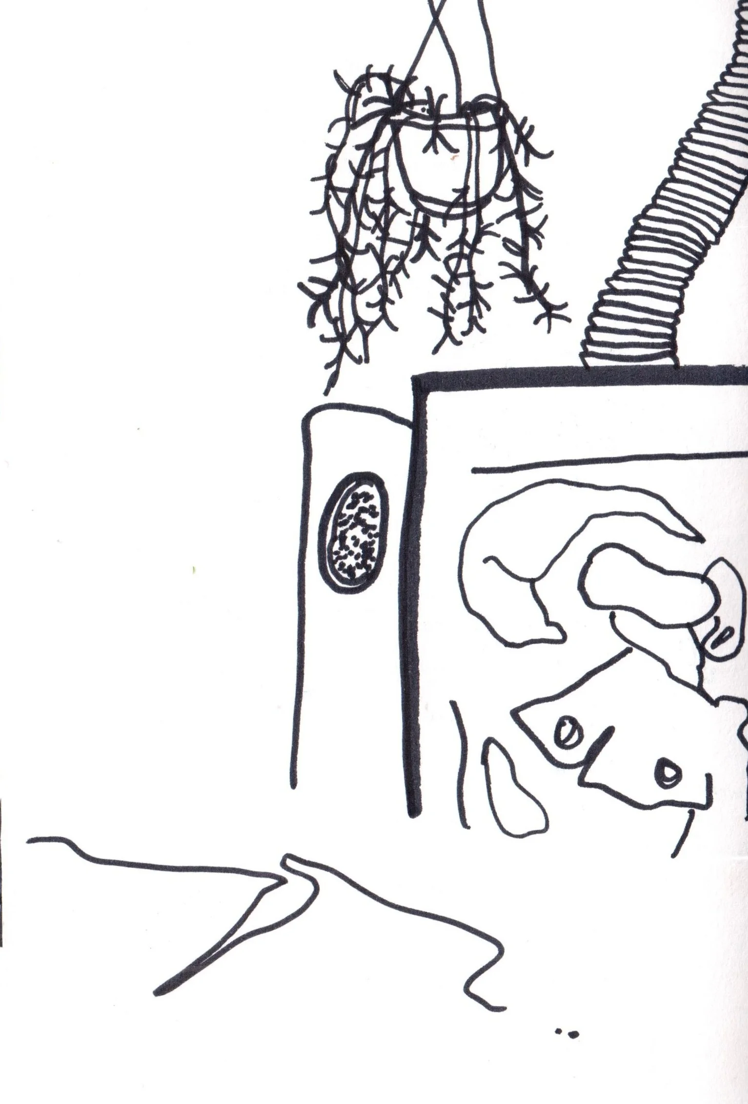 elysias room 2