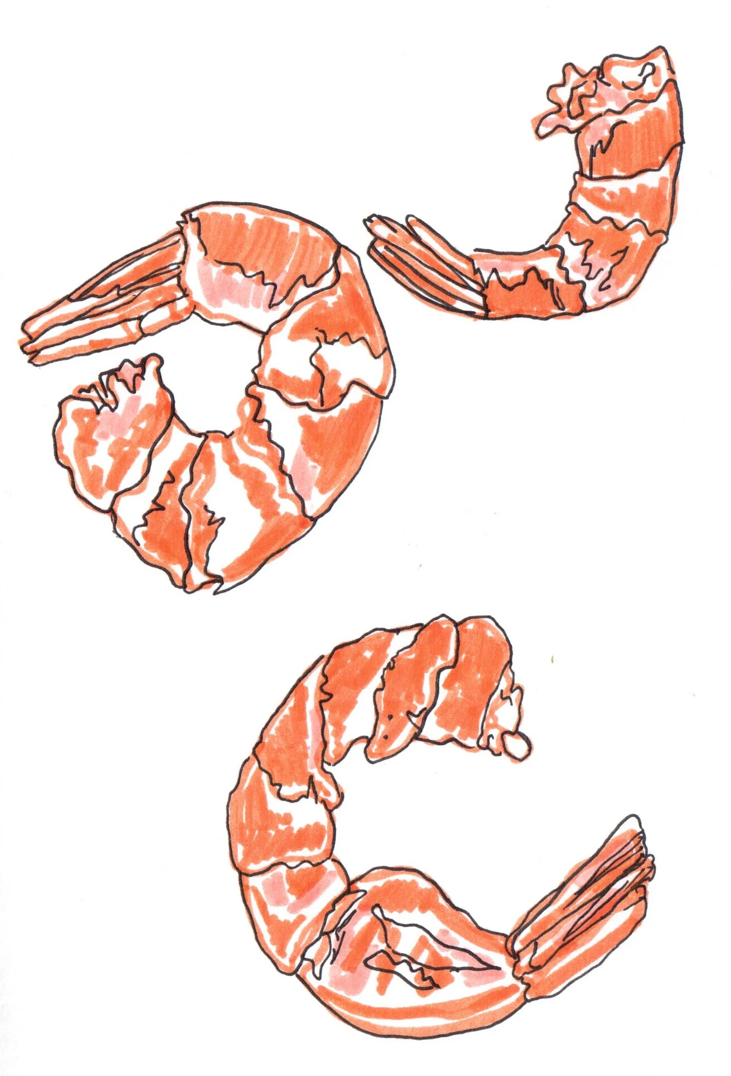prawns