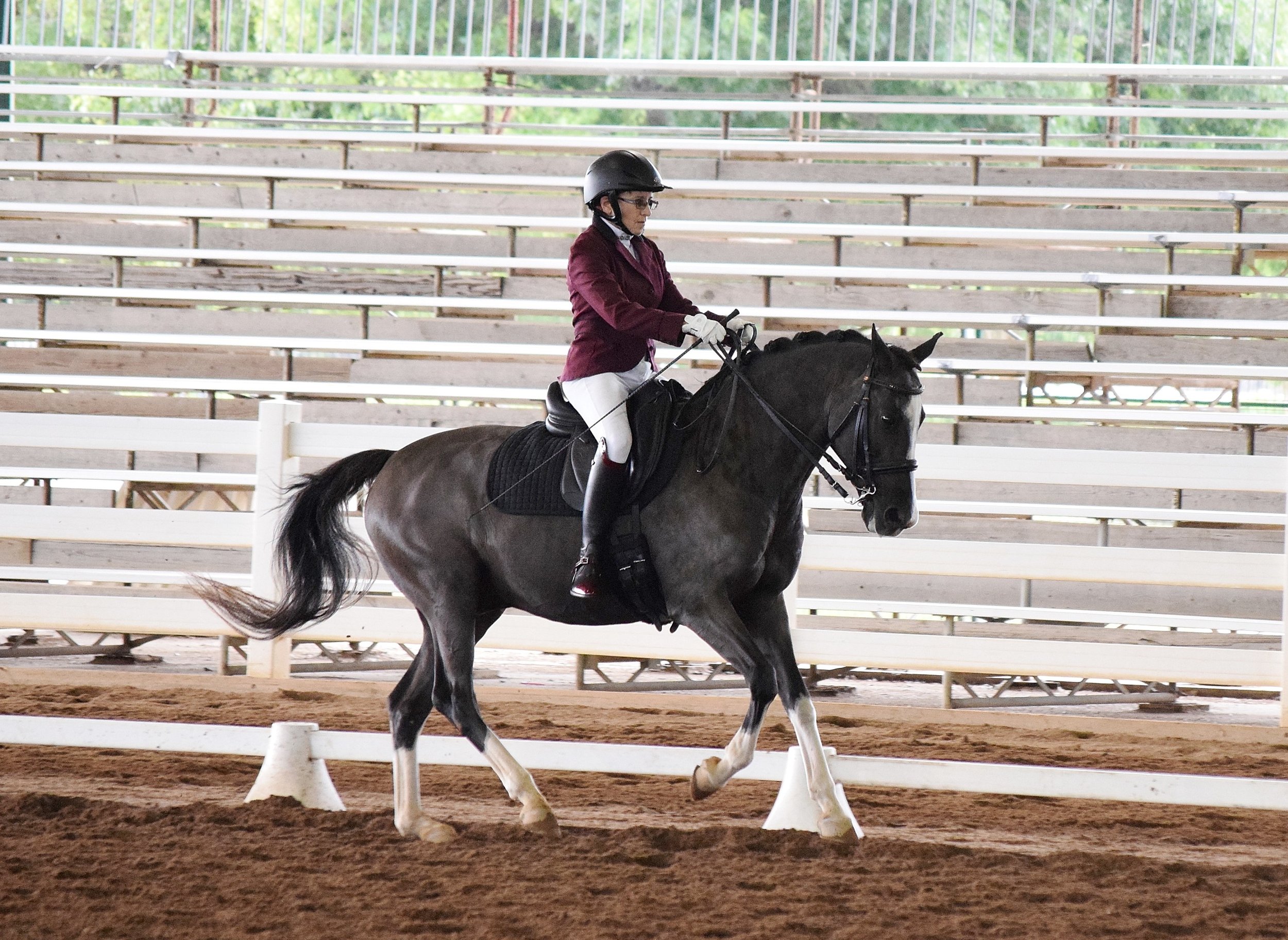 Silver Lining Stables