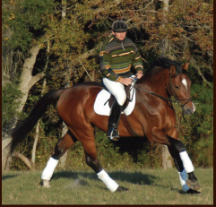 Andras Szieberth Clinic