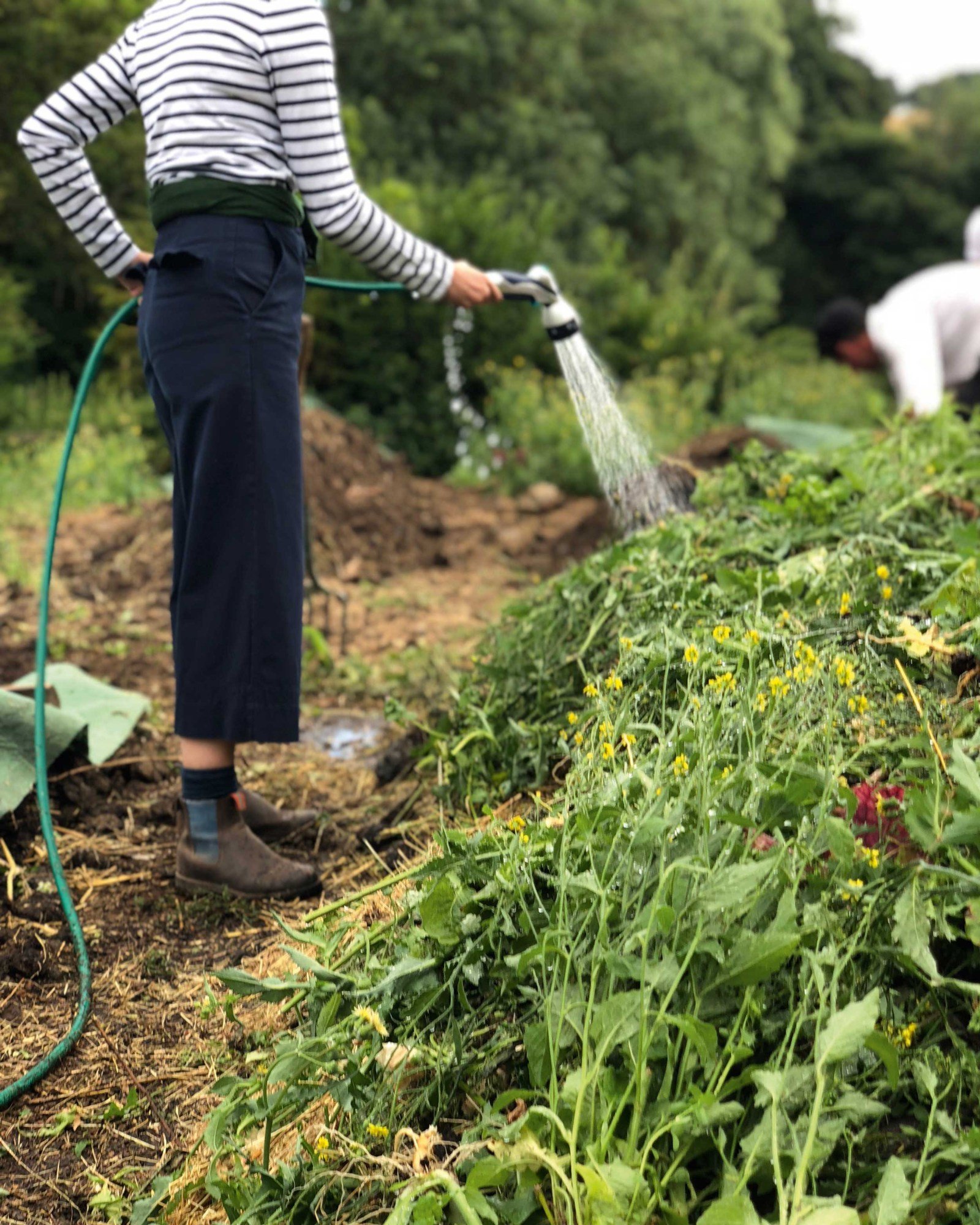 LandGardeners_compost.jpg