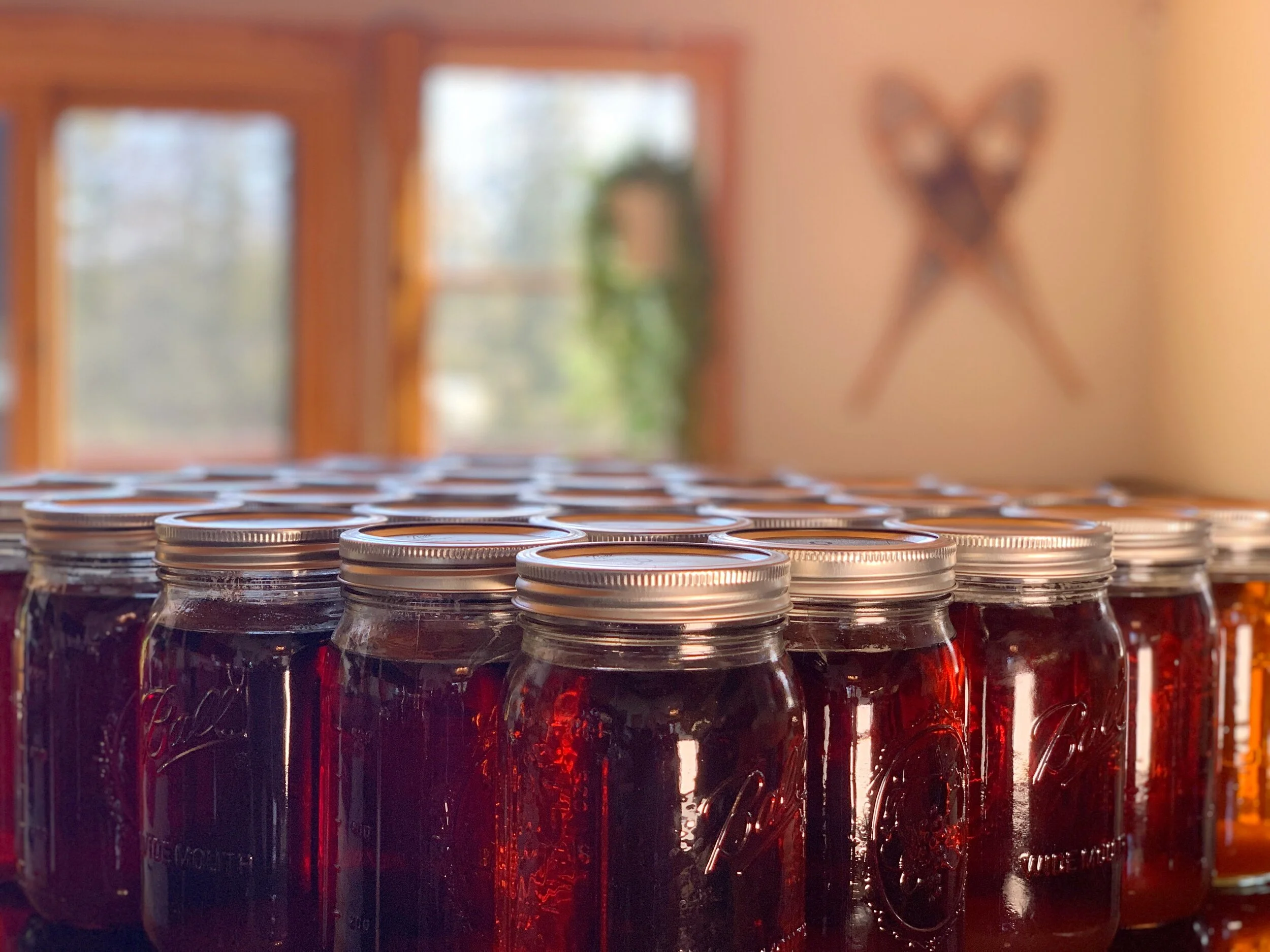 In The Field — Maple Sugarin'