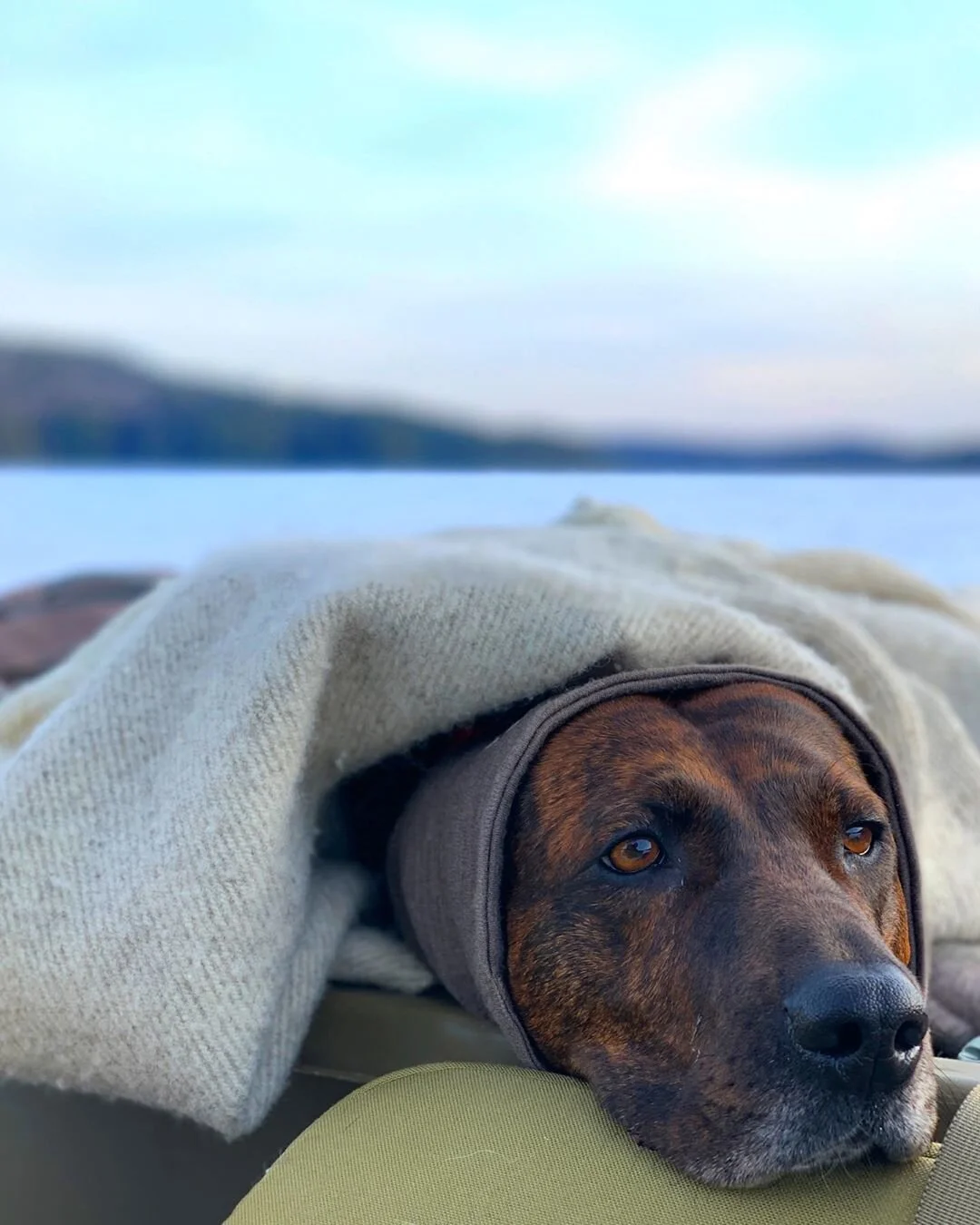 Ice Fishing &amp; Plott Hounds