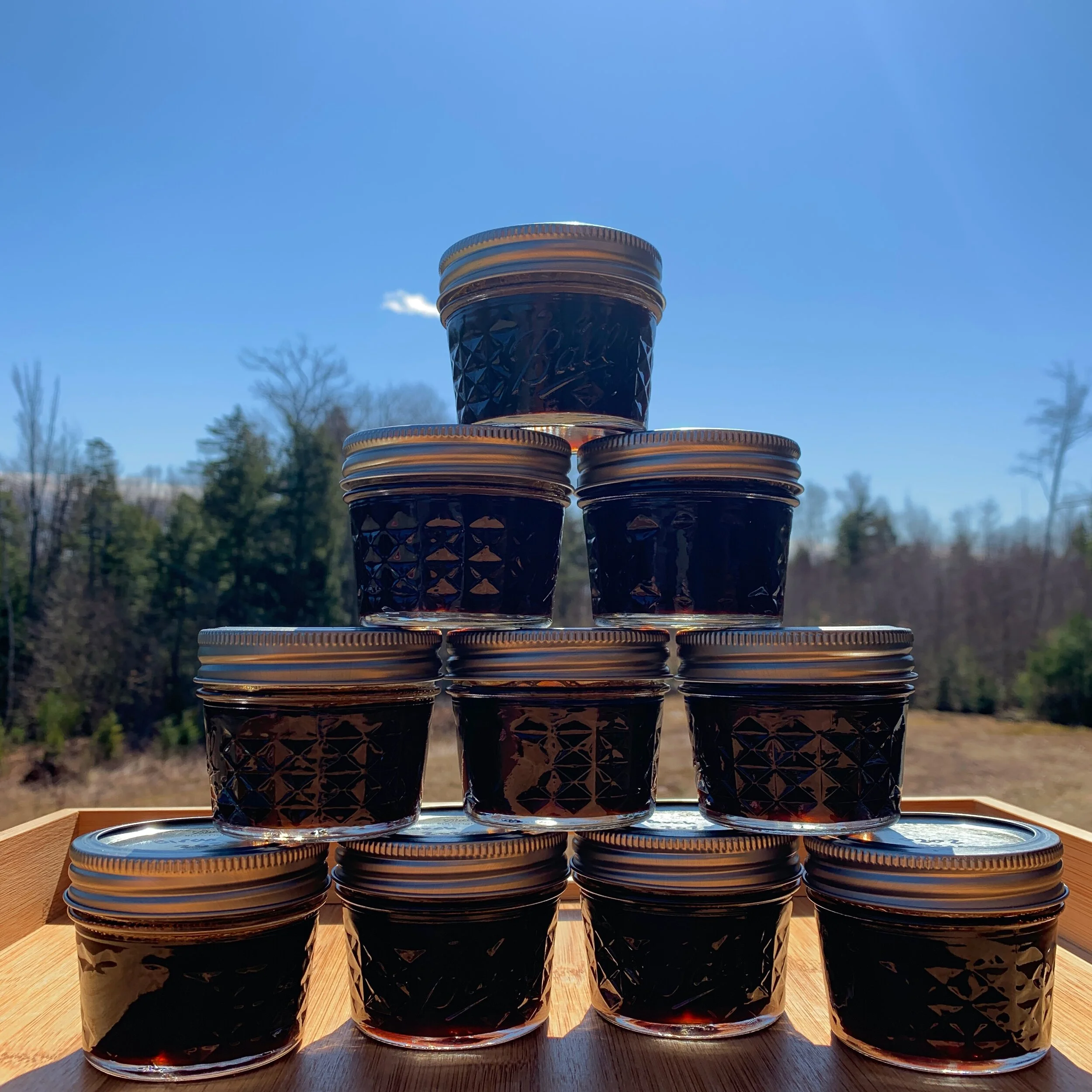 In The Field — Birch Syrup