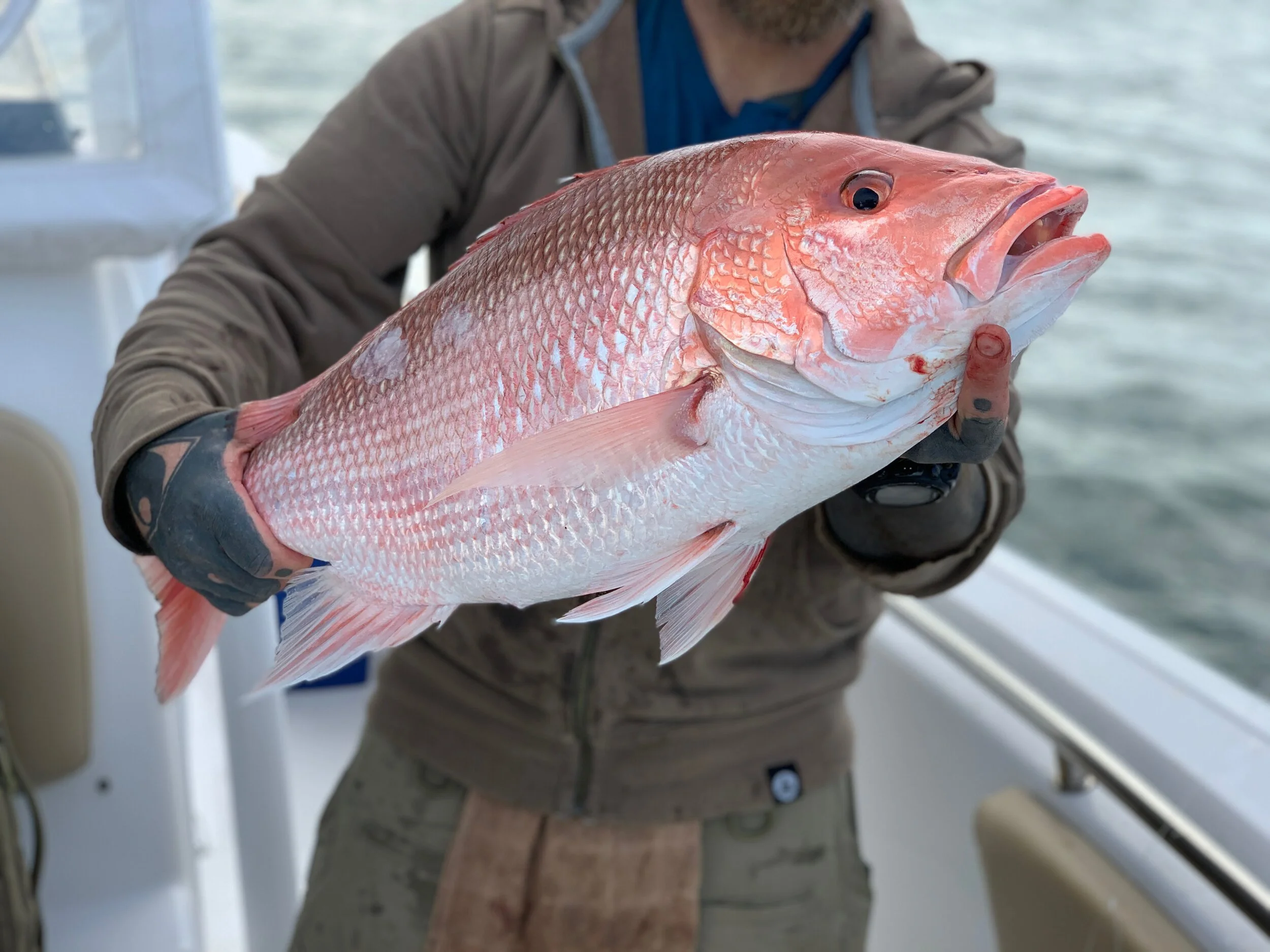 The Catch of a Lifetime?