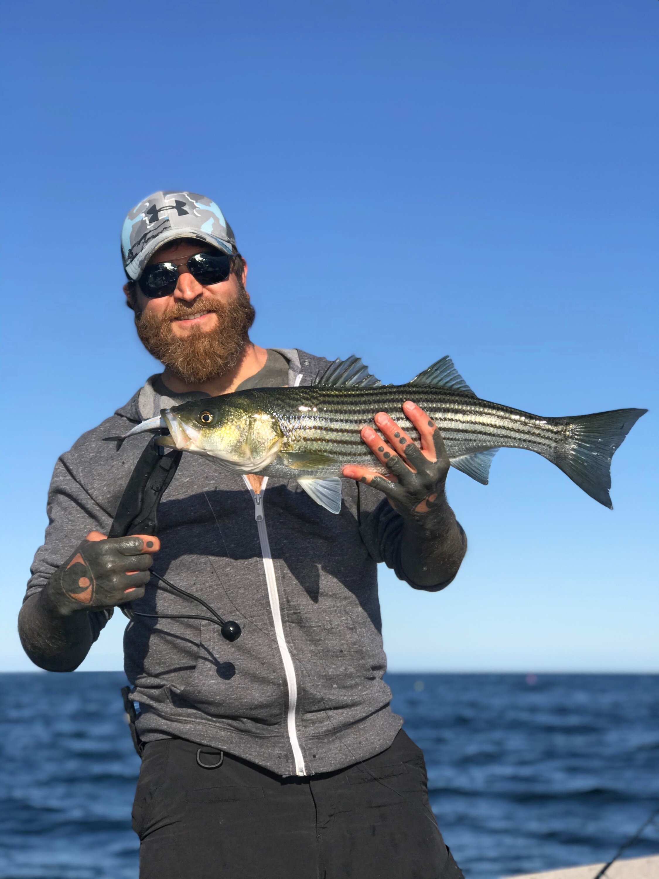 Striped Bass And The Realities Of Catch And Release — Wildfed