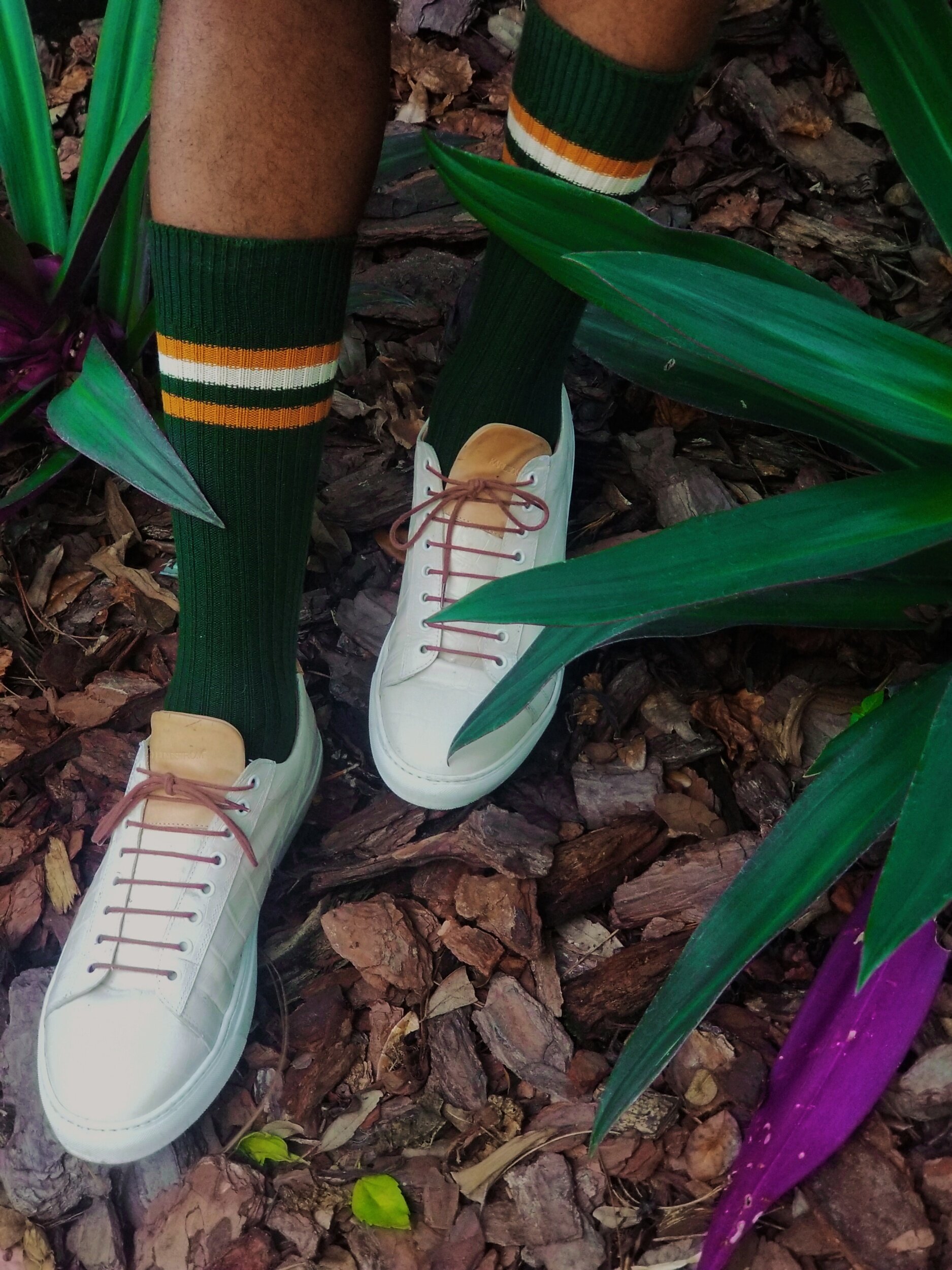 Tabio Fall Collection Crew Socks
