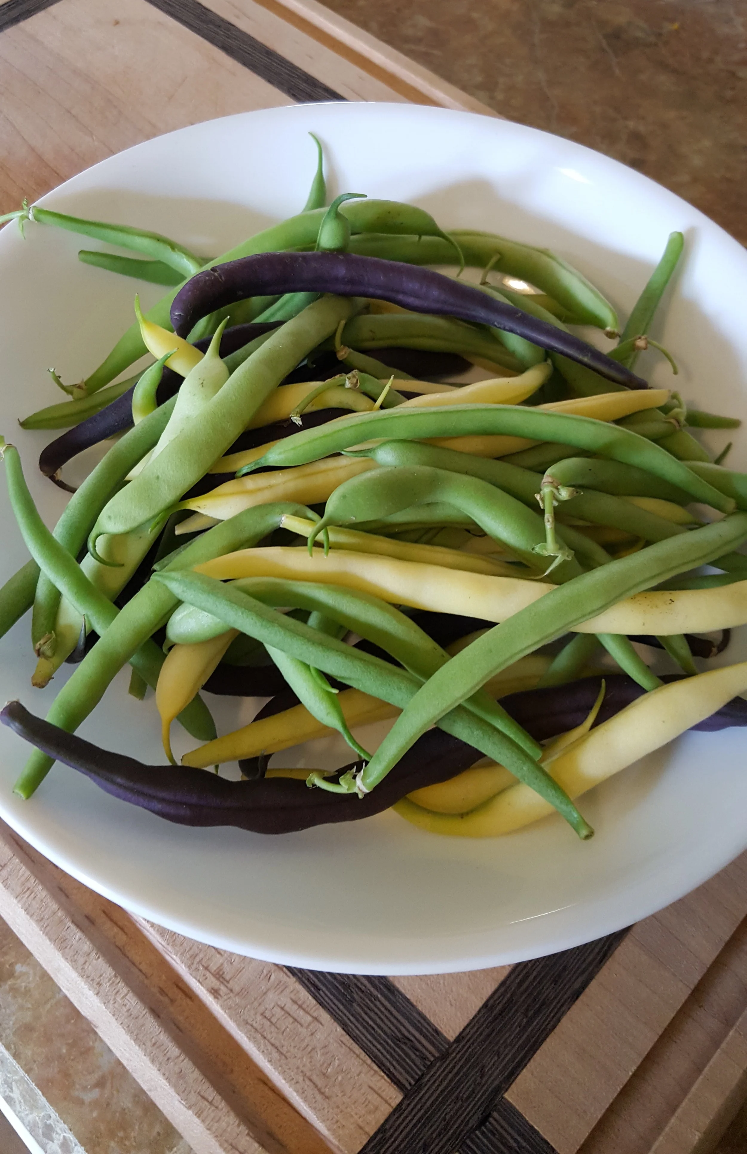 beans.jpg