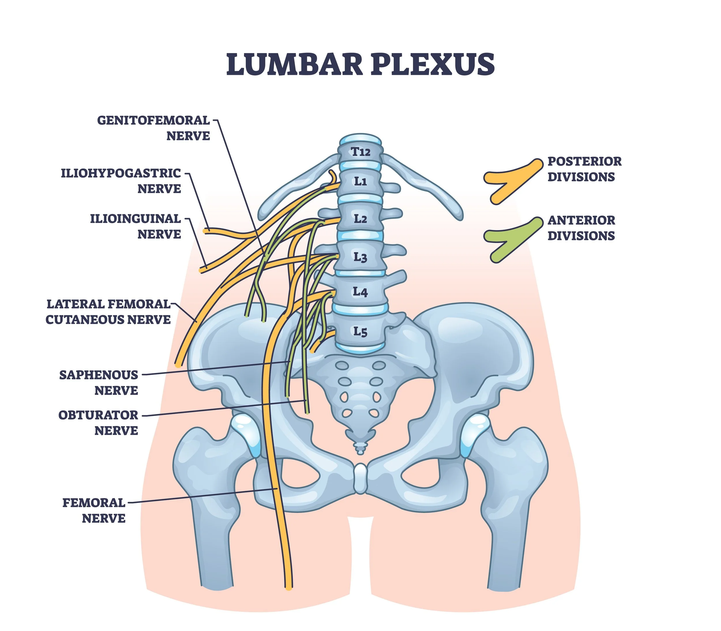 Femoral neuritis: the "other sciatica"