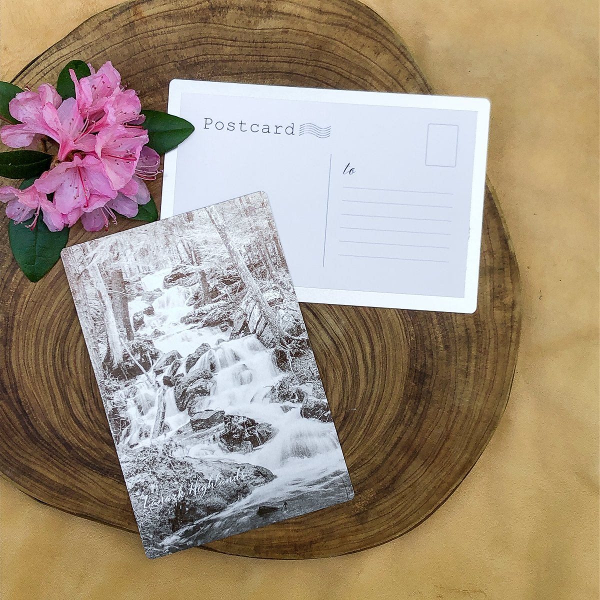 02_Marsh_Metalpostcard.jpg
