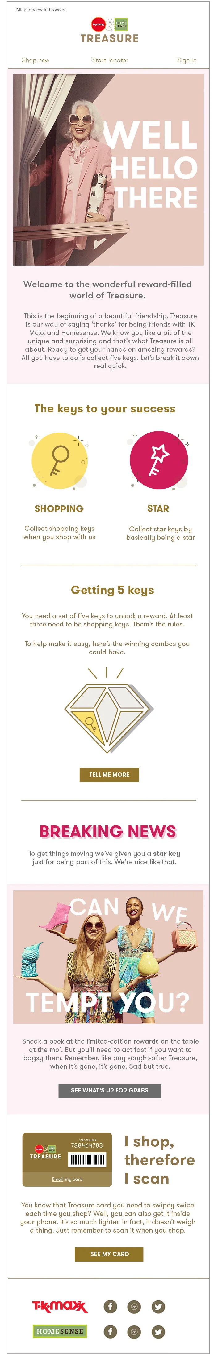 TJX - EMAIL 3_ www.jpg