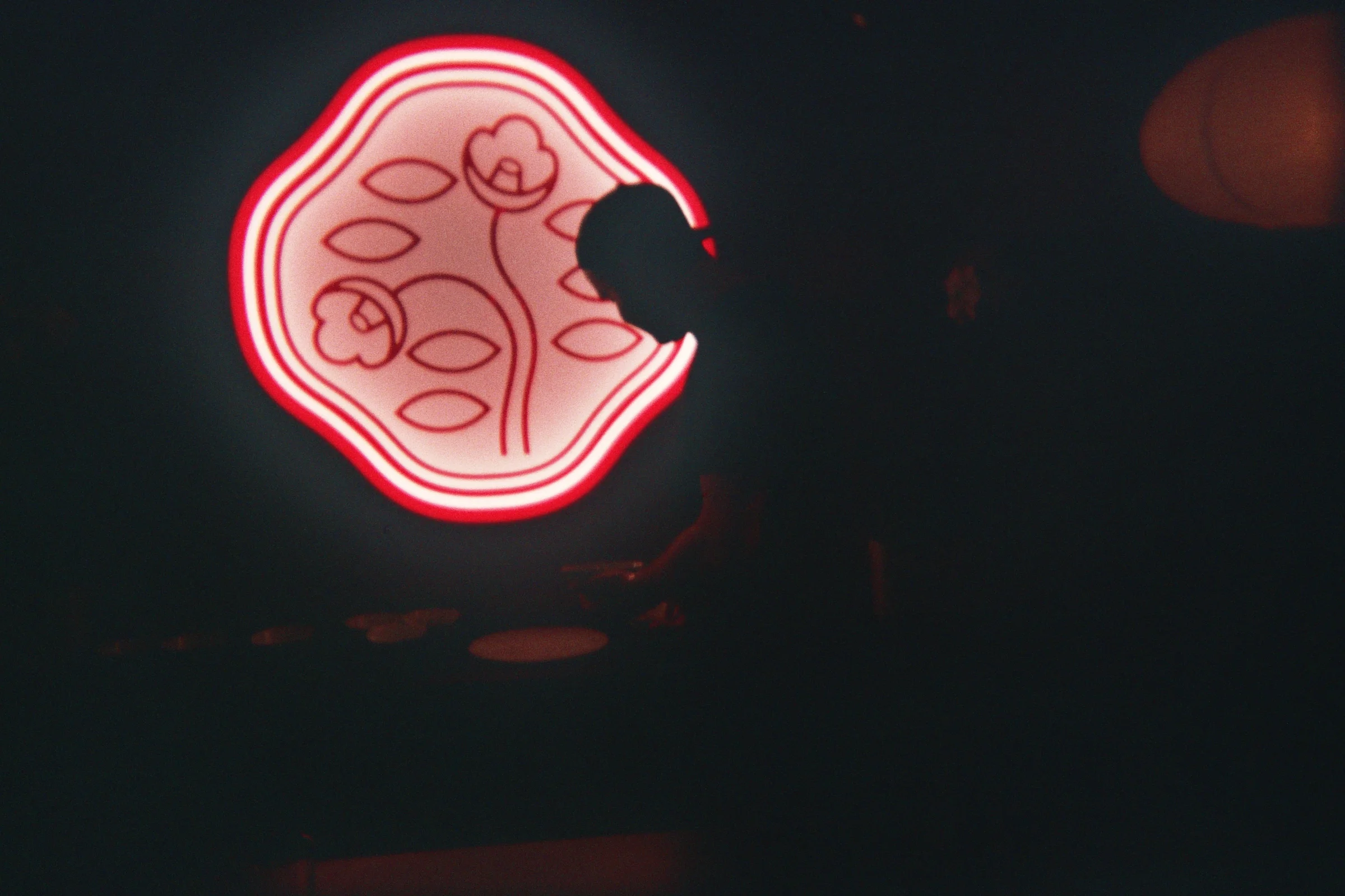 16A_00341.jpg