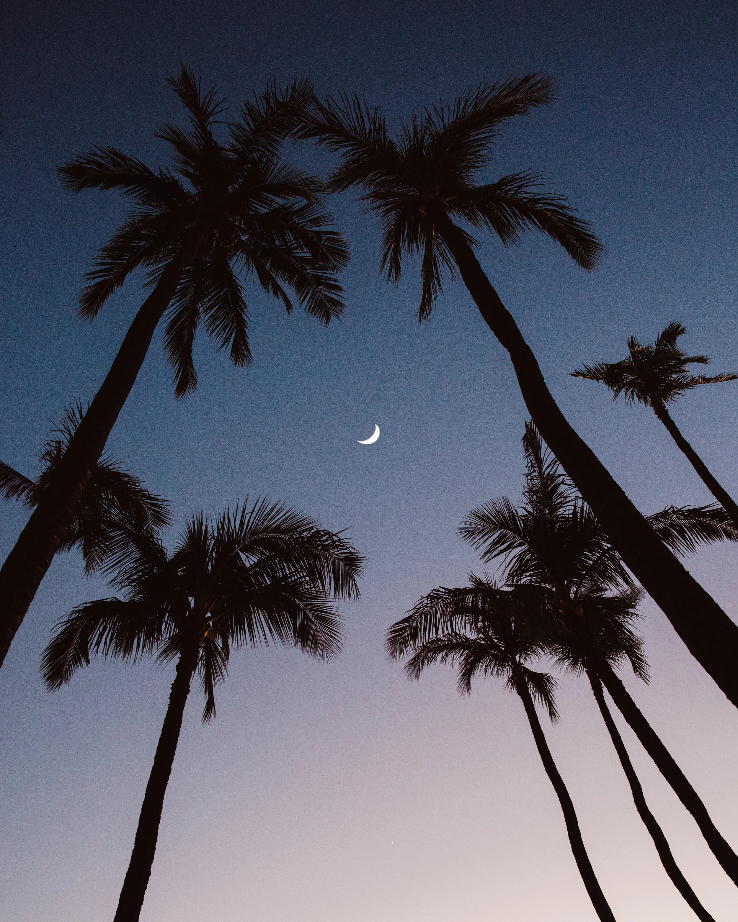 BD__8717-Edit.jpg